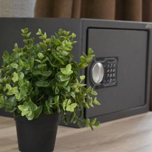 Фото Винсент