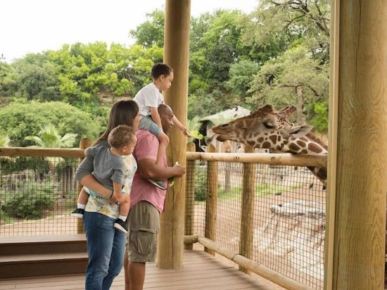 Фото Omni La Mansion del Rio