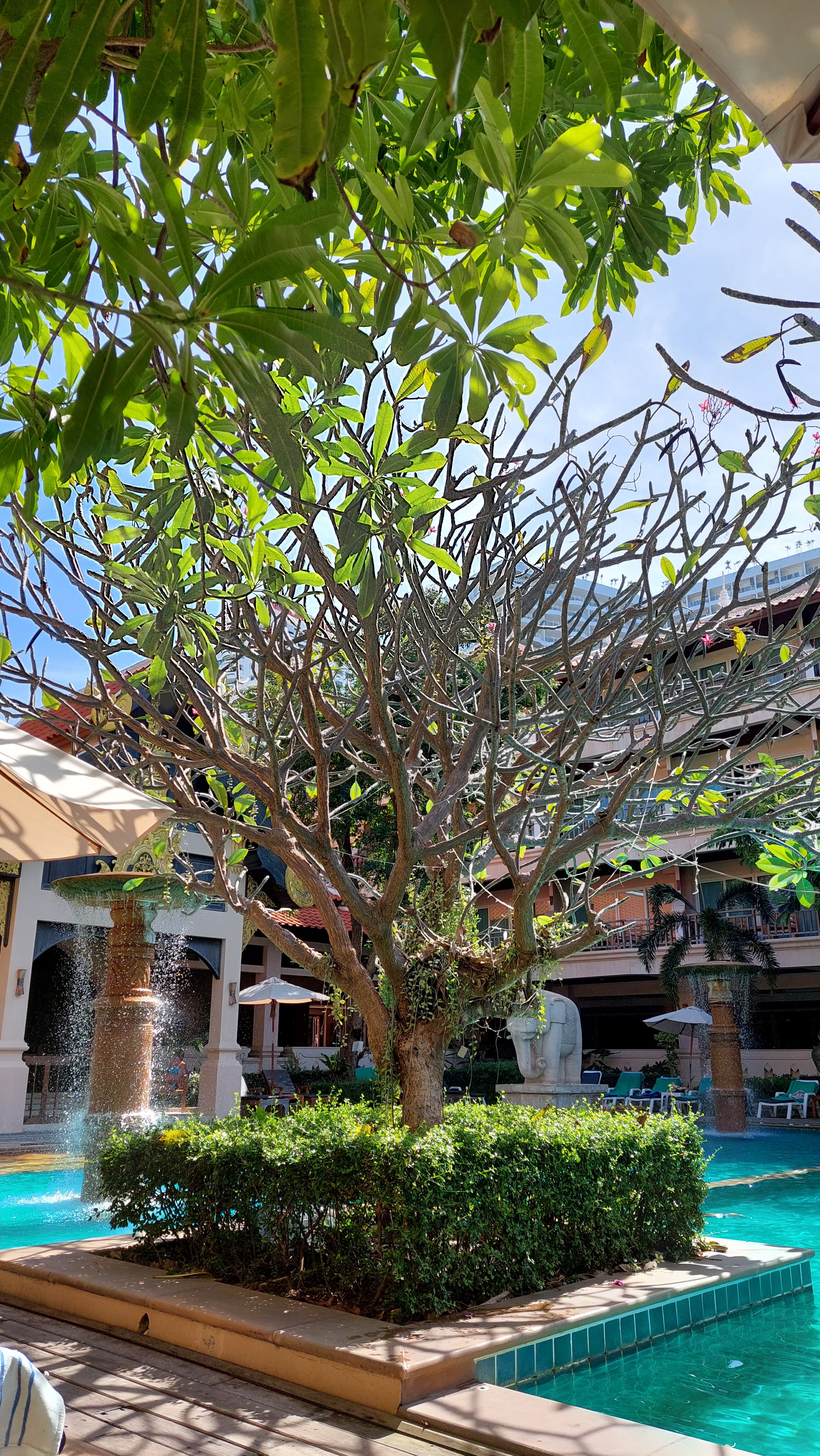 Фото Avalon Beach Resort