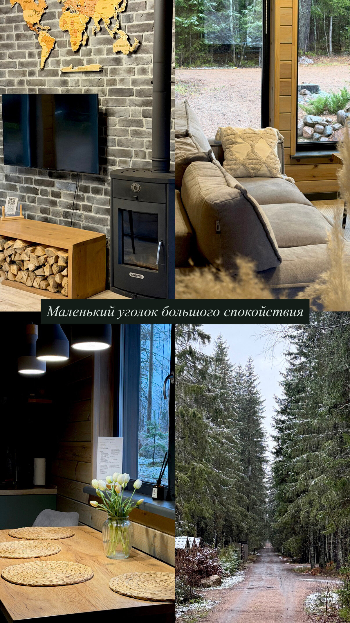 Фото Smell Of The Forest