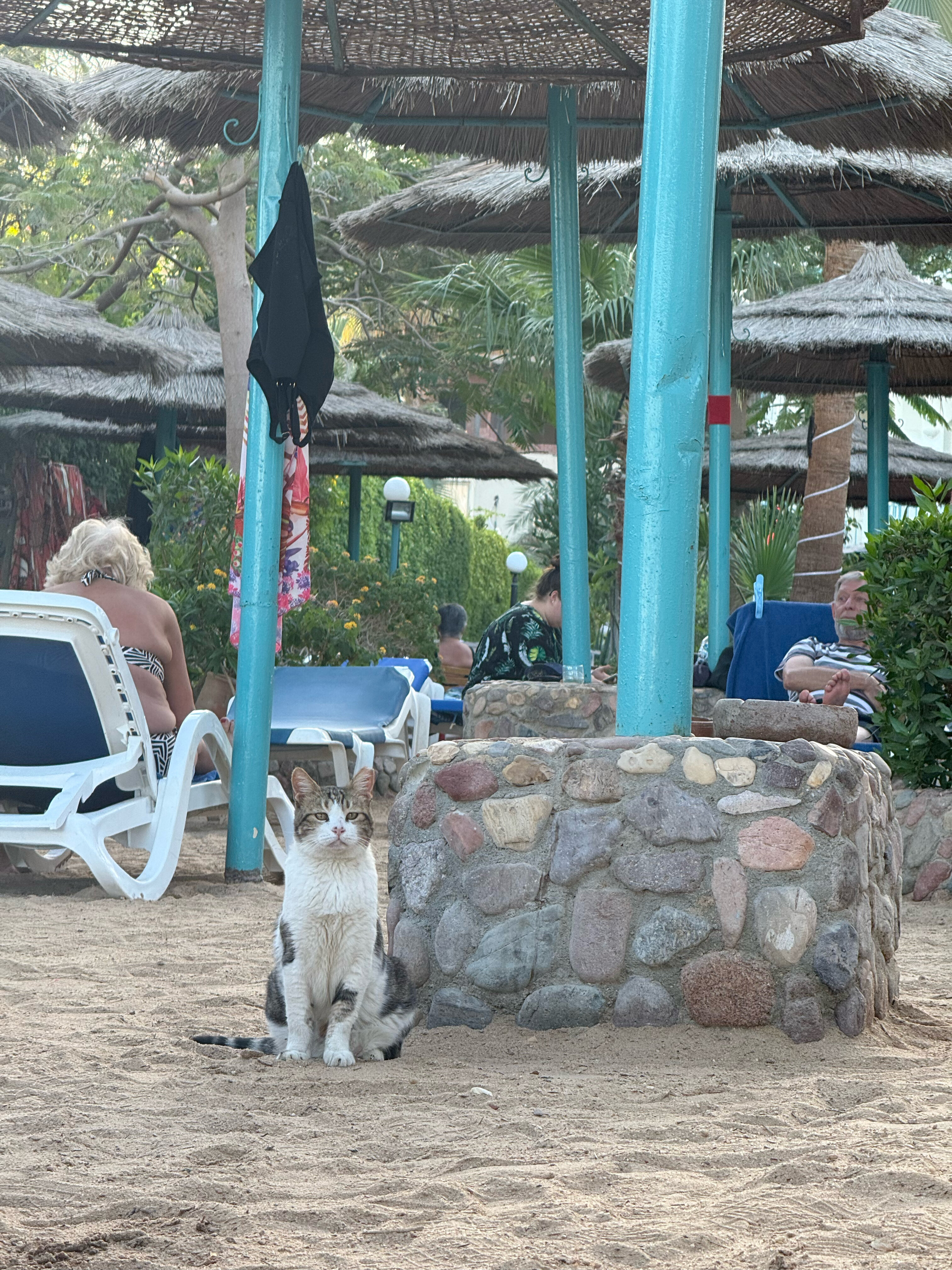 Фото Bella Vista Resort