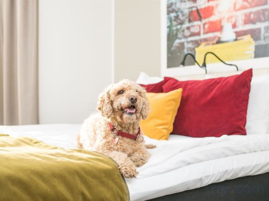 Фото Best Western Hotel Svava