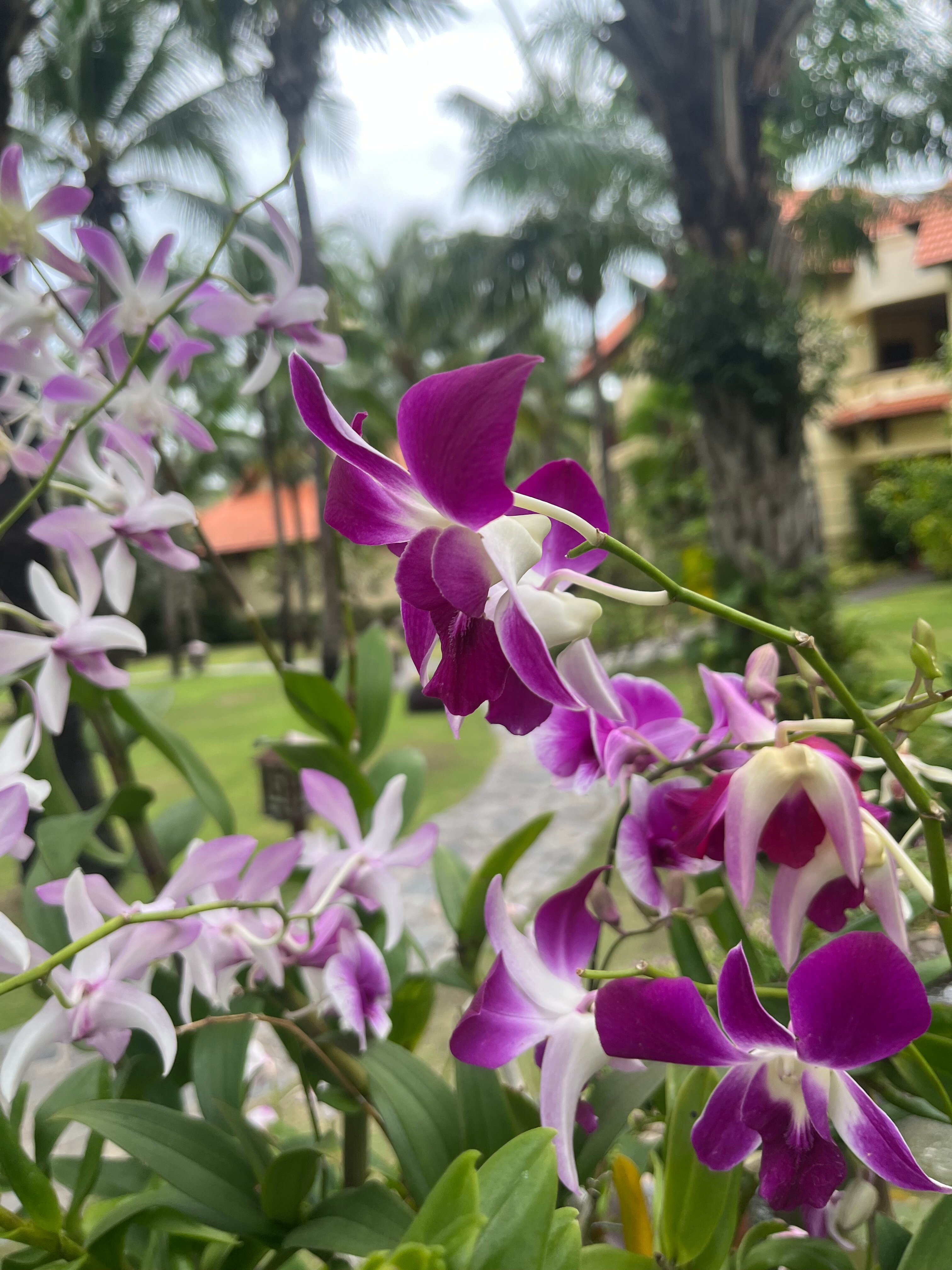 Фото Sunny Beach Resort