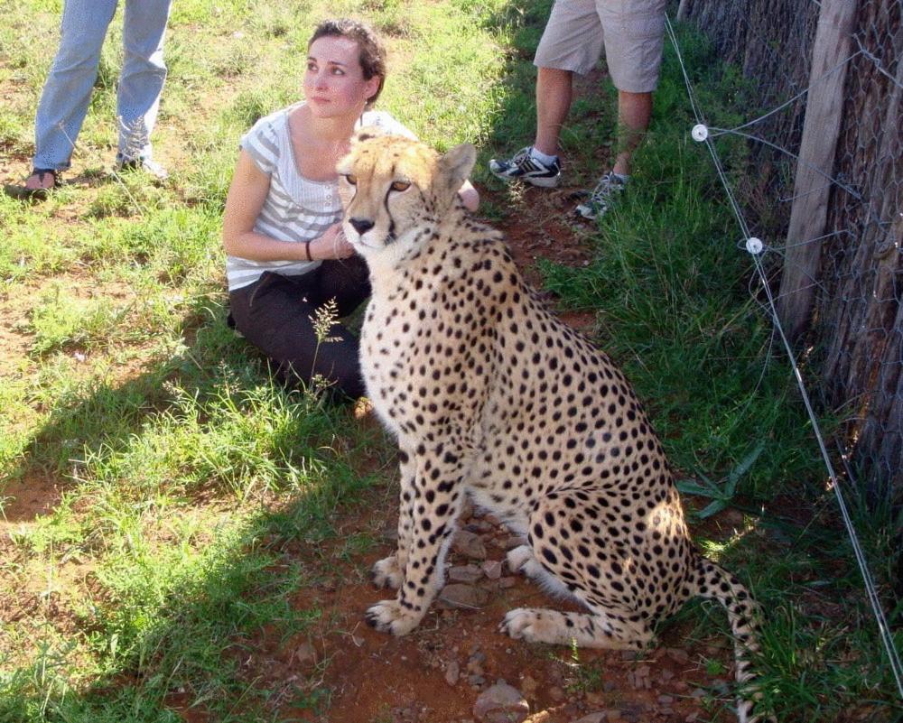 Фото Kronenhoff Guest House