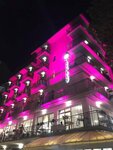 Lively Hotel