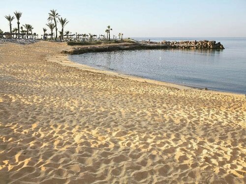 Гостиница Adams Beach Hotel & SPA в Айя-Напе