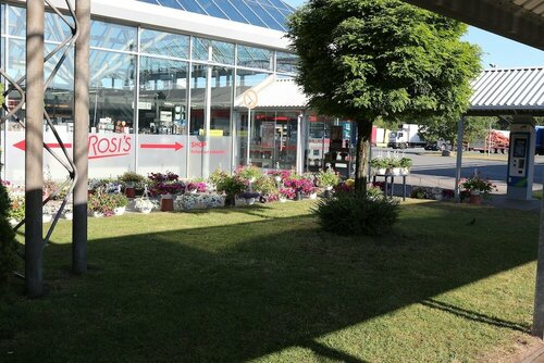 Гостиница Hotel Autohof Salzbergen в Райне