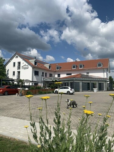 Гостиница Hotel Bavaria в Дингольфинге