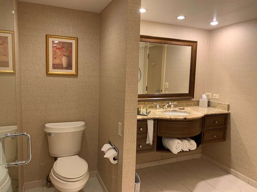 Фото Hilton Chicago/Northbrook