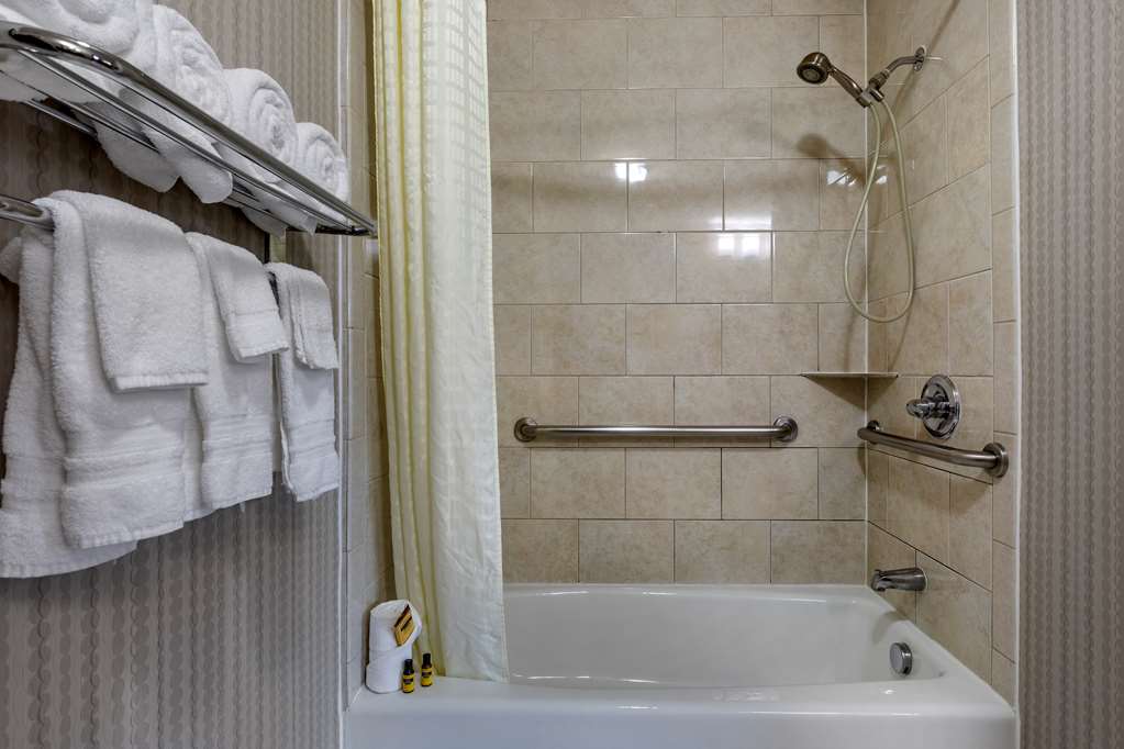 Фото Best Western Plus Dfw Airport West Euless