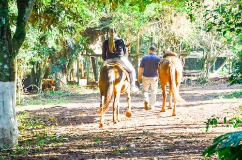 Внешний вид отеля Canzi Cataratas Hotel в Фосе ду Игуасу, фото 5