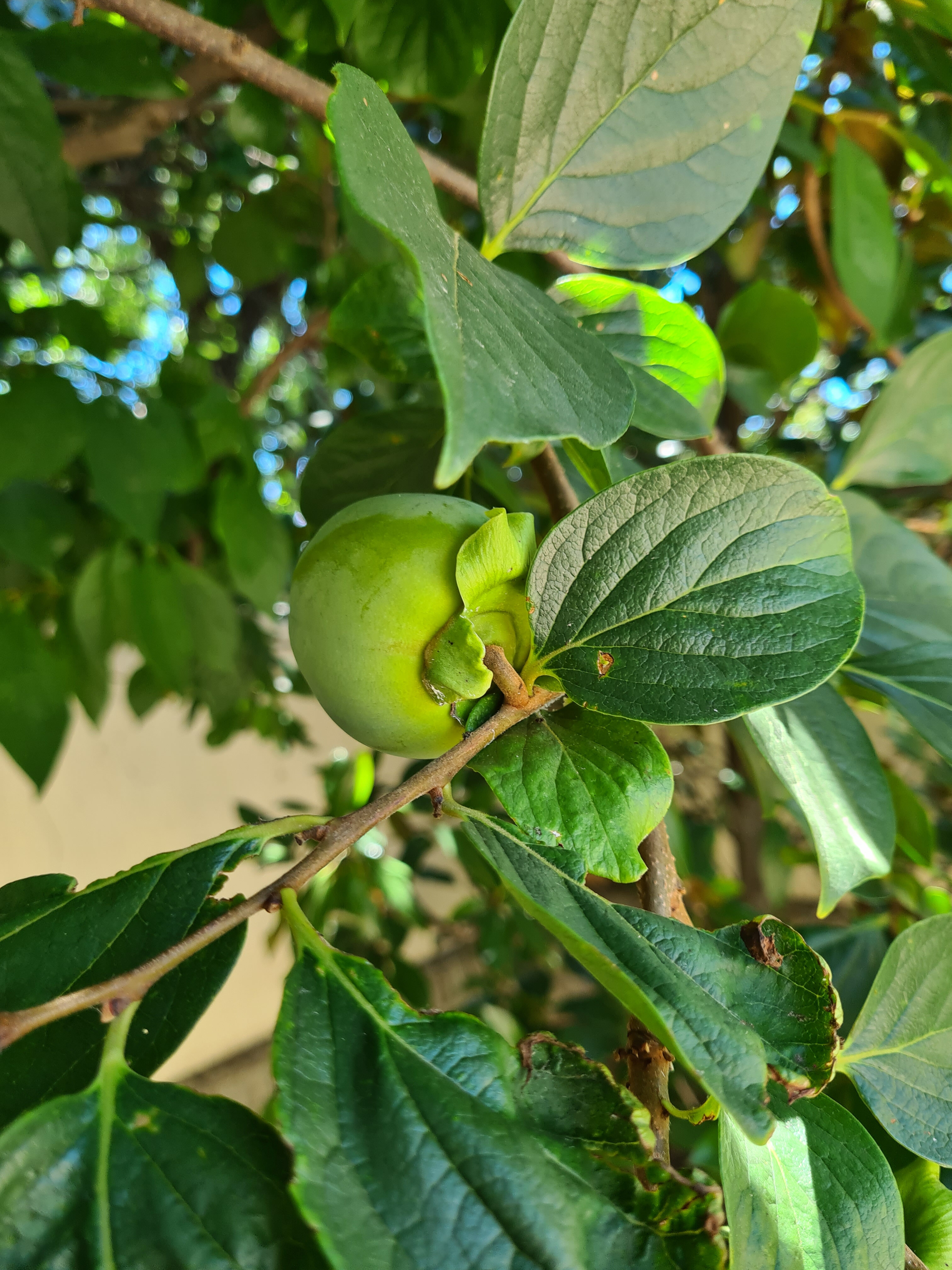 Фото Валентин