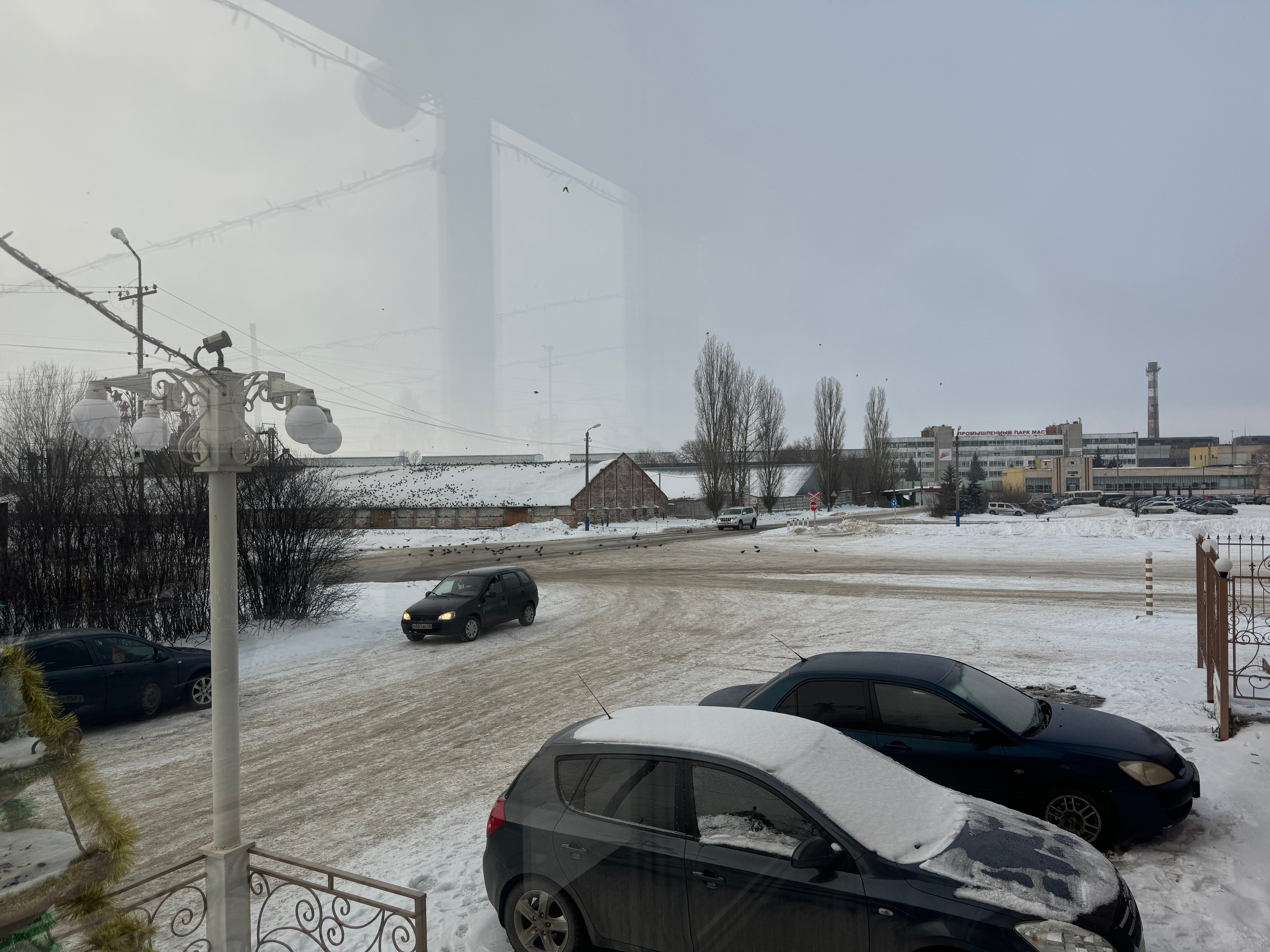 Фото Девяточка