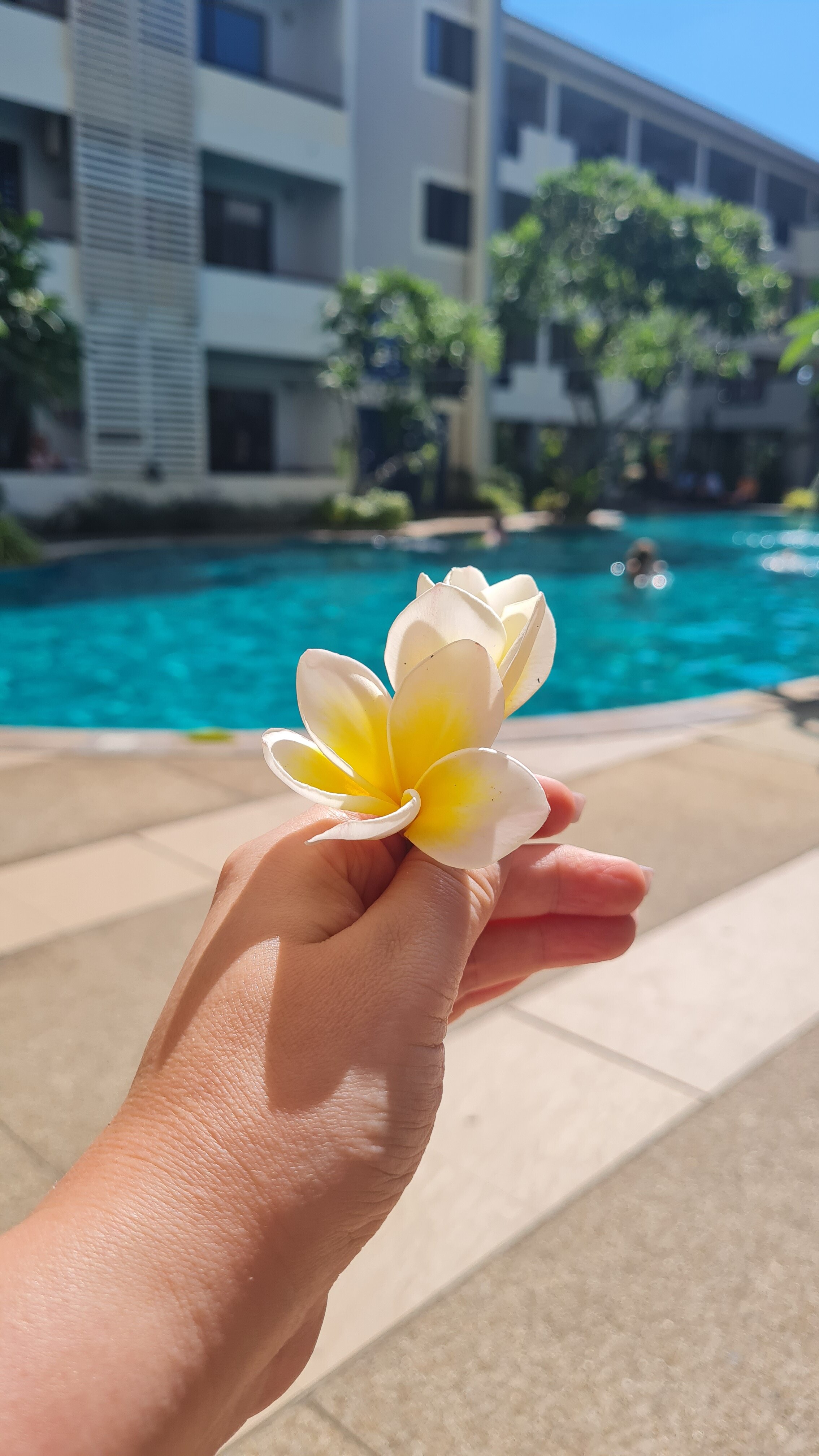 Фото Sea Breeze Jomtien Resort