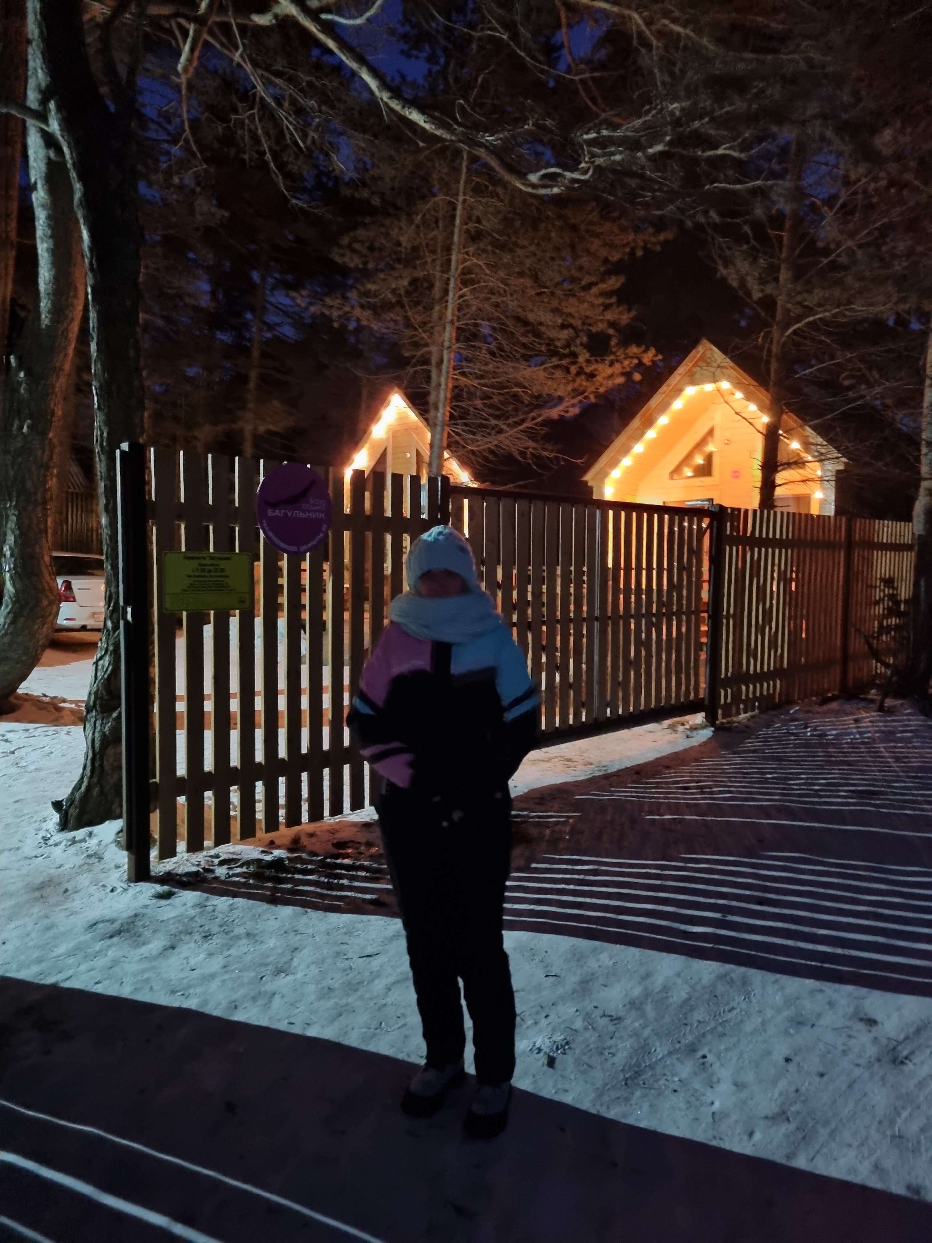 Фото Багульник