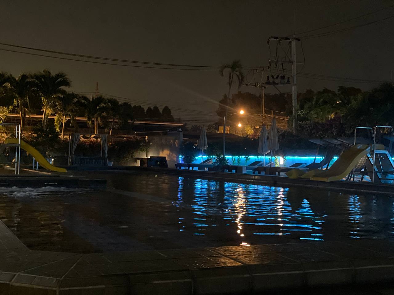 Фото Olive Tree Hotel