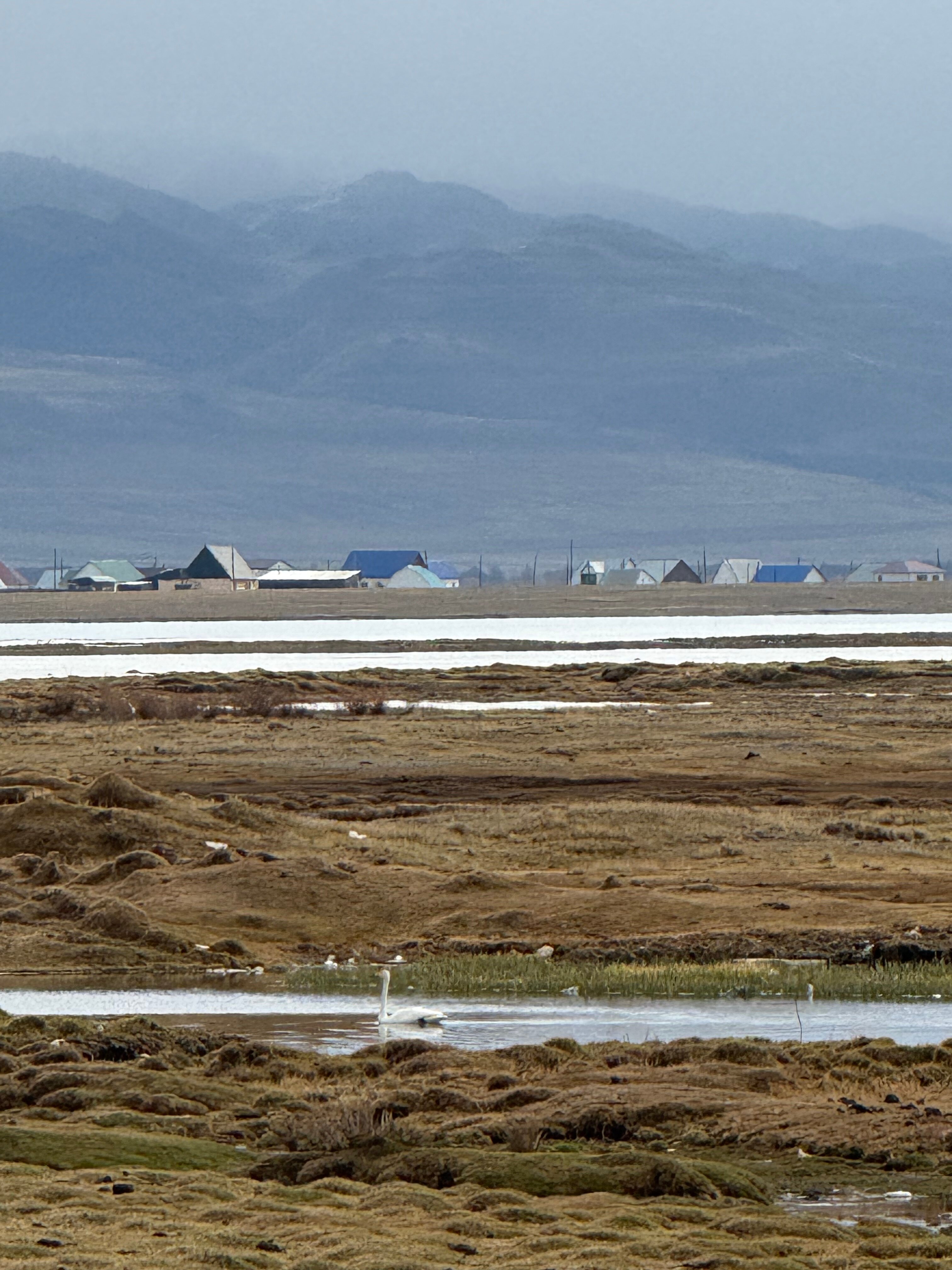 Фото Шум ручья