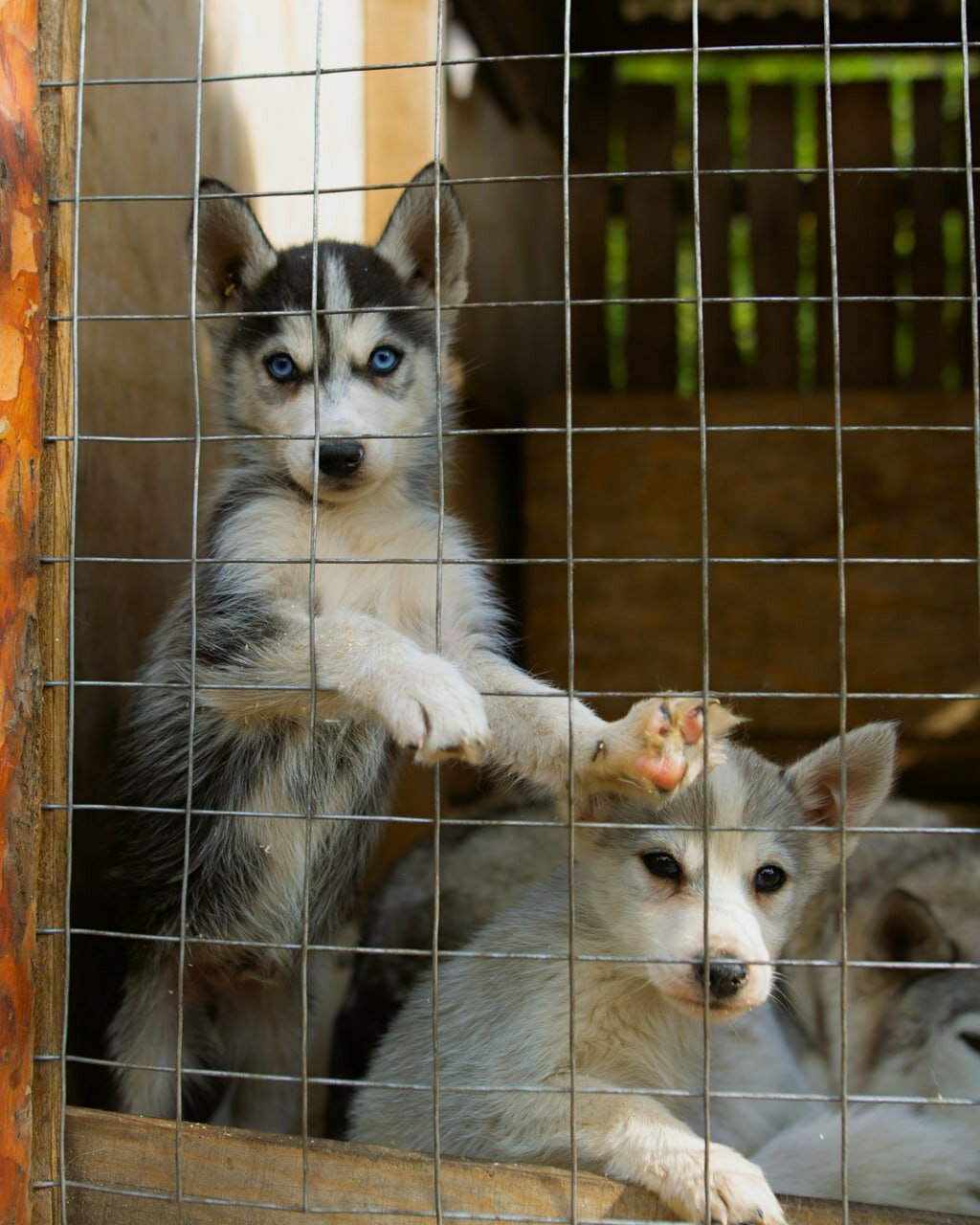 Фото Домвбору. ру