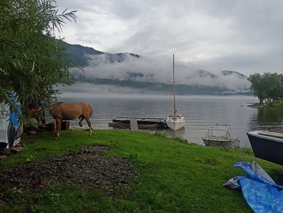 Фото Кедровый берег