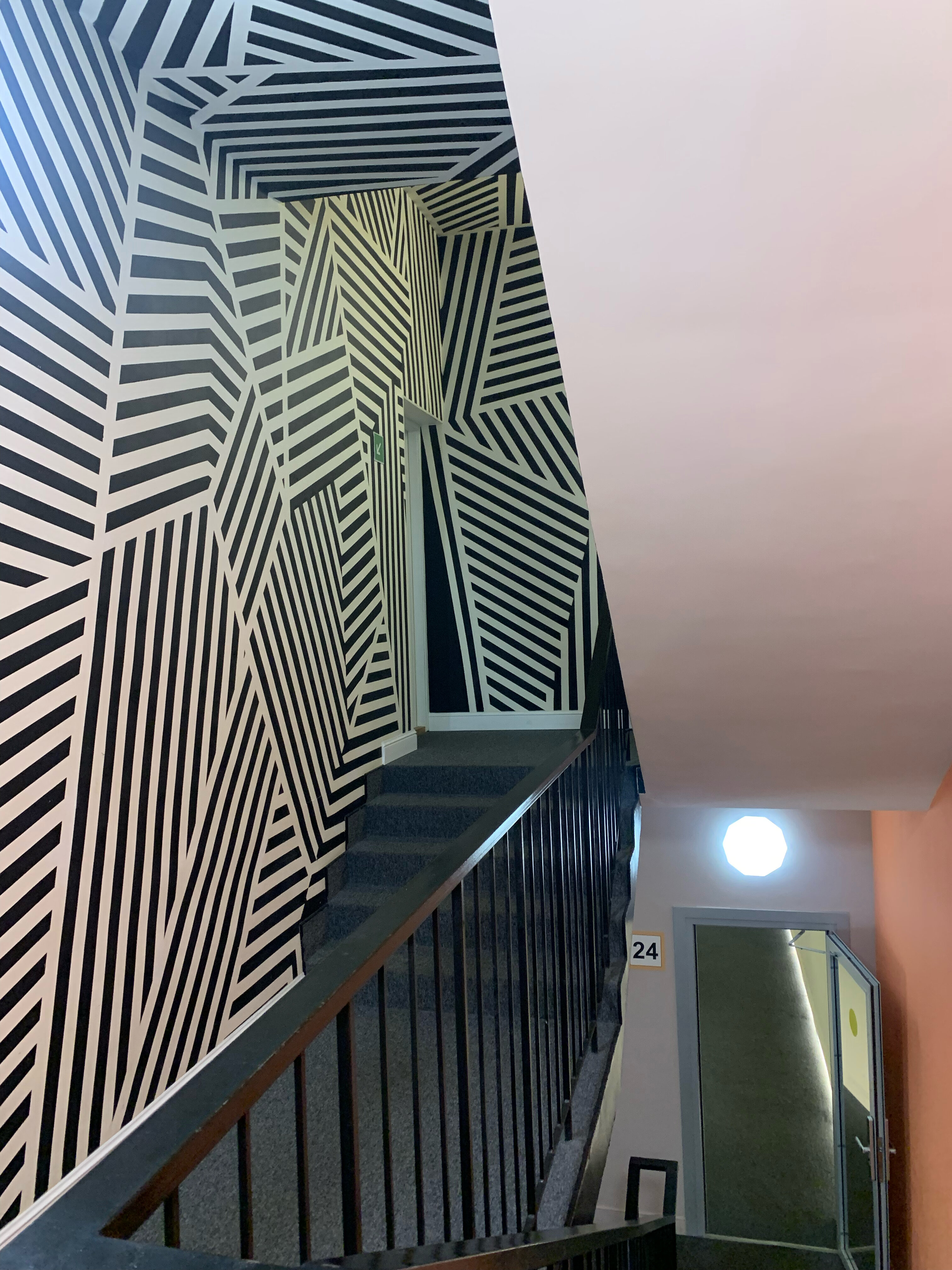 Фото ДаРумс