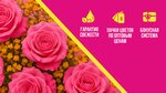 Цветопт 24 (prospekt imeni 50 let Oktyabrya, 70), floristeria