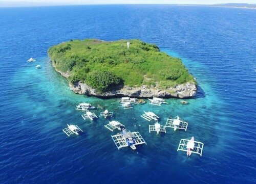 Гостиница Parrot Resort Moalboal