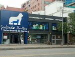 Sintiendo Huellas (Bogotá, Chapinero, Carrera 11, 84A-18), veterinary clinic