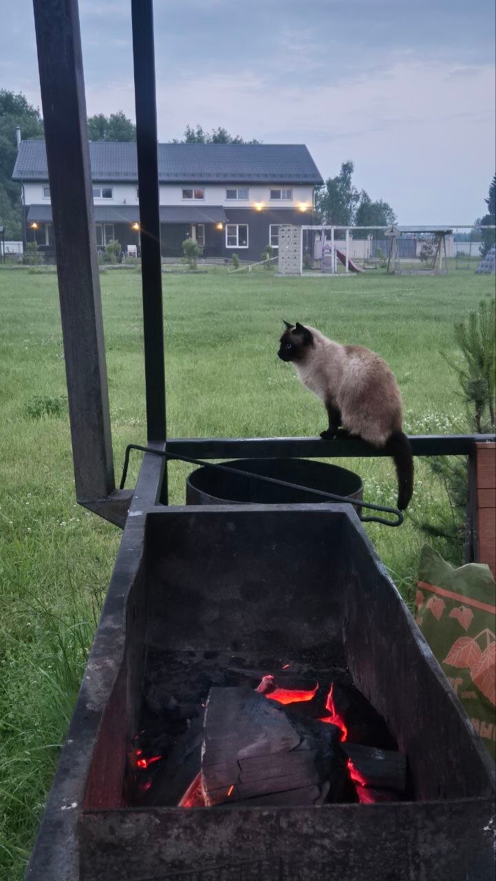 Фото Эко-усадьба Никольское