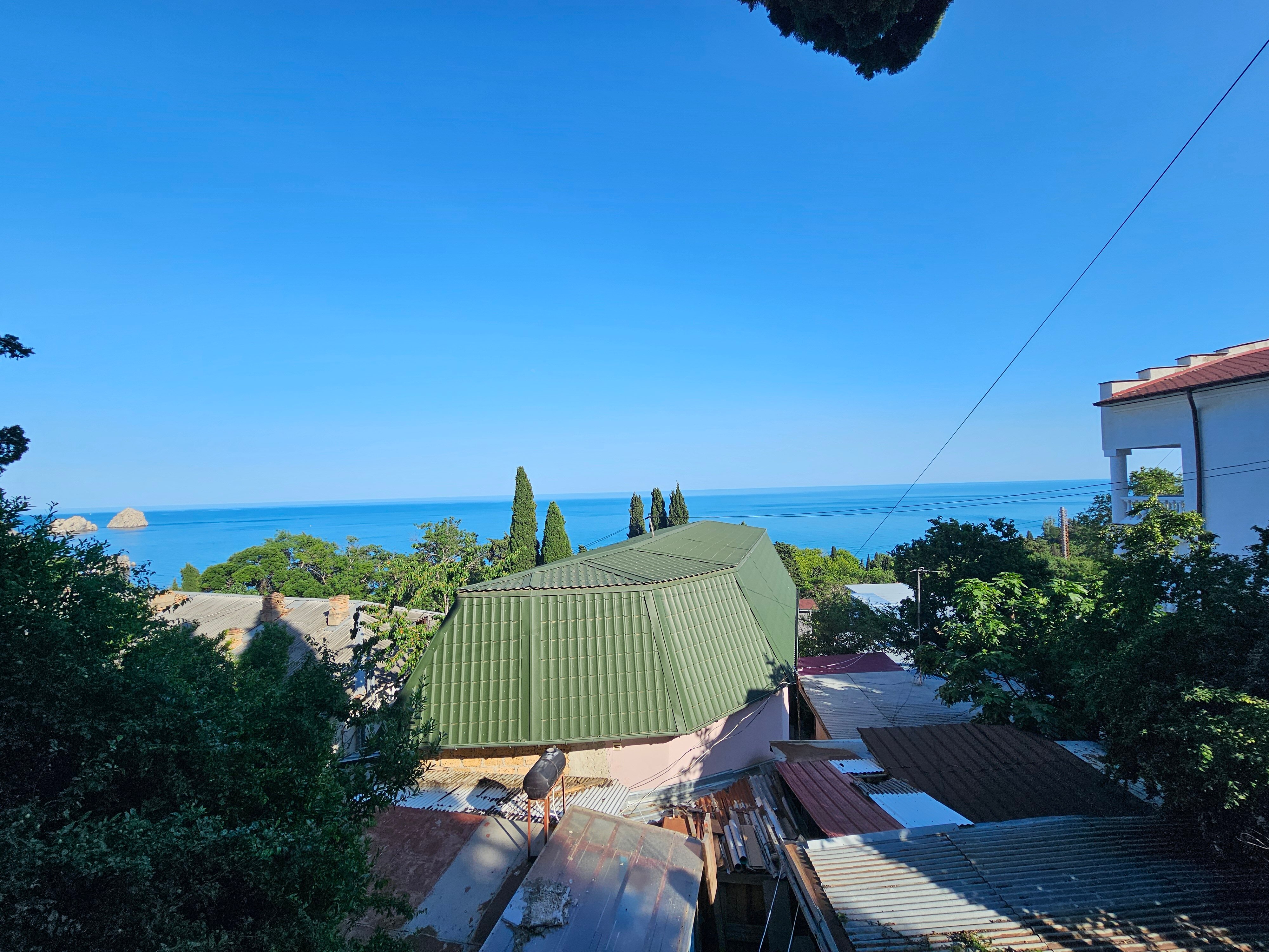 Фото Кипарис