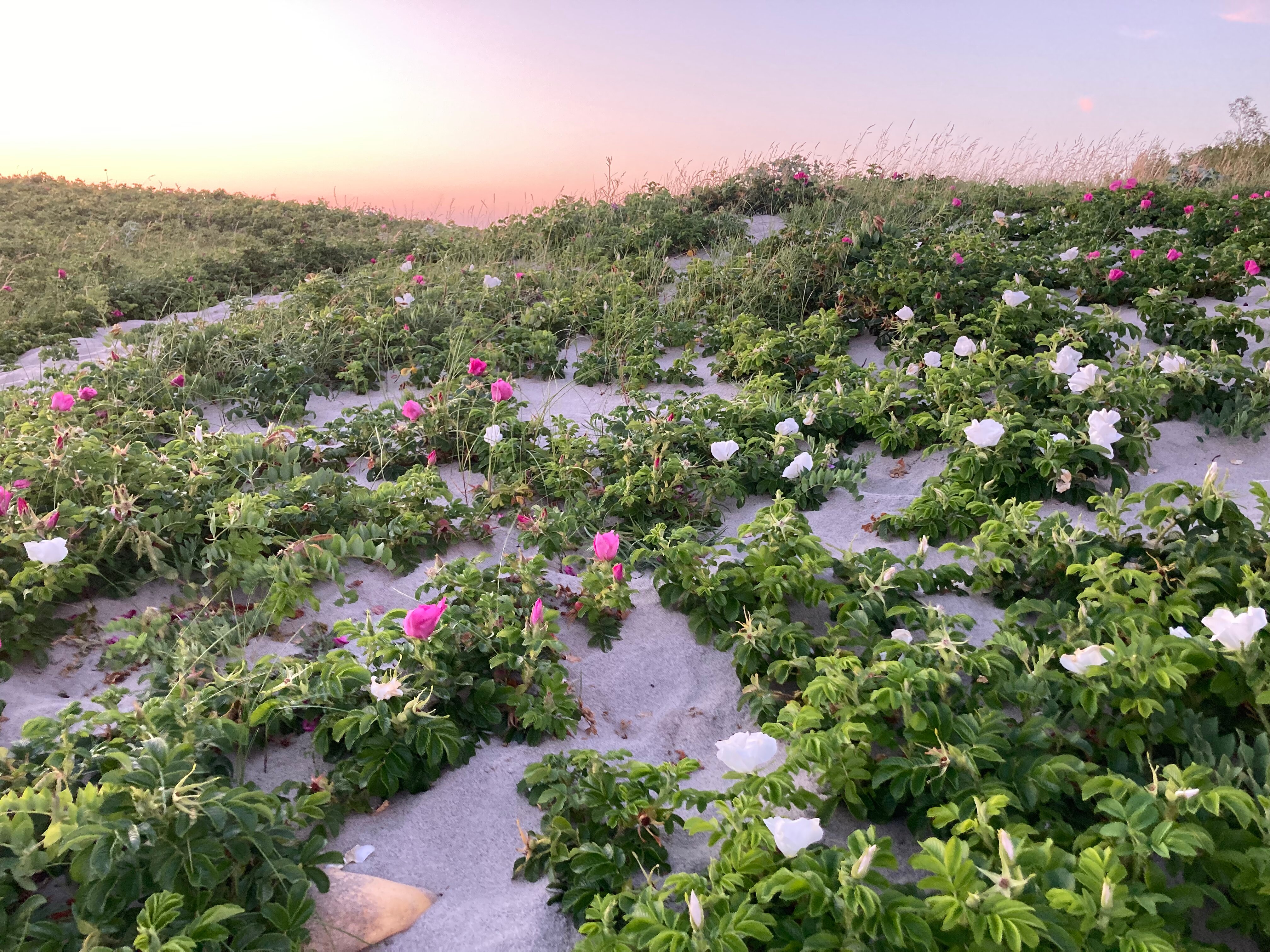 Фото Песок и Море