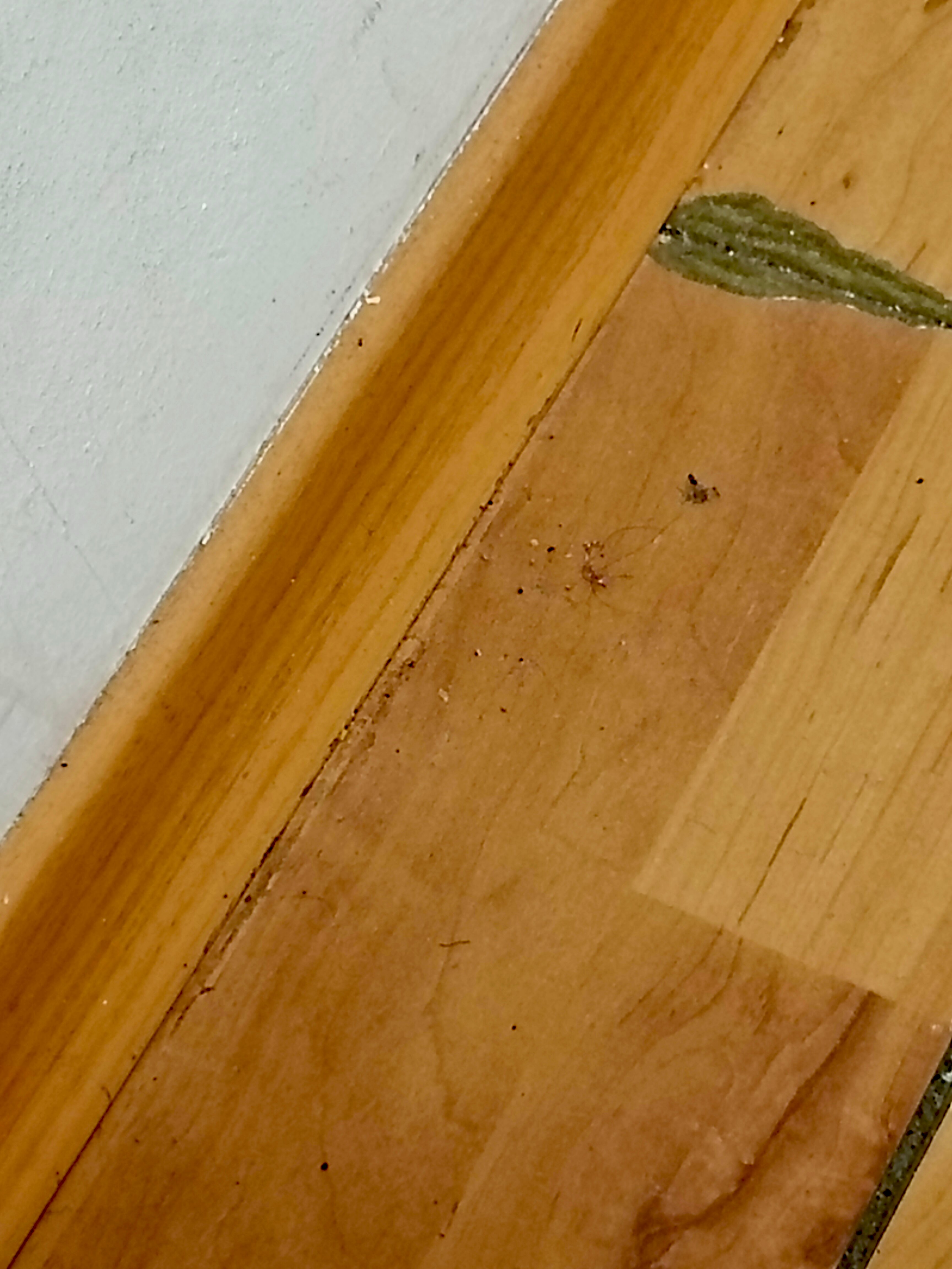 Фото Колокол