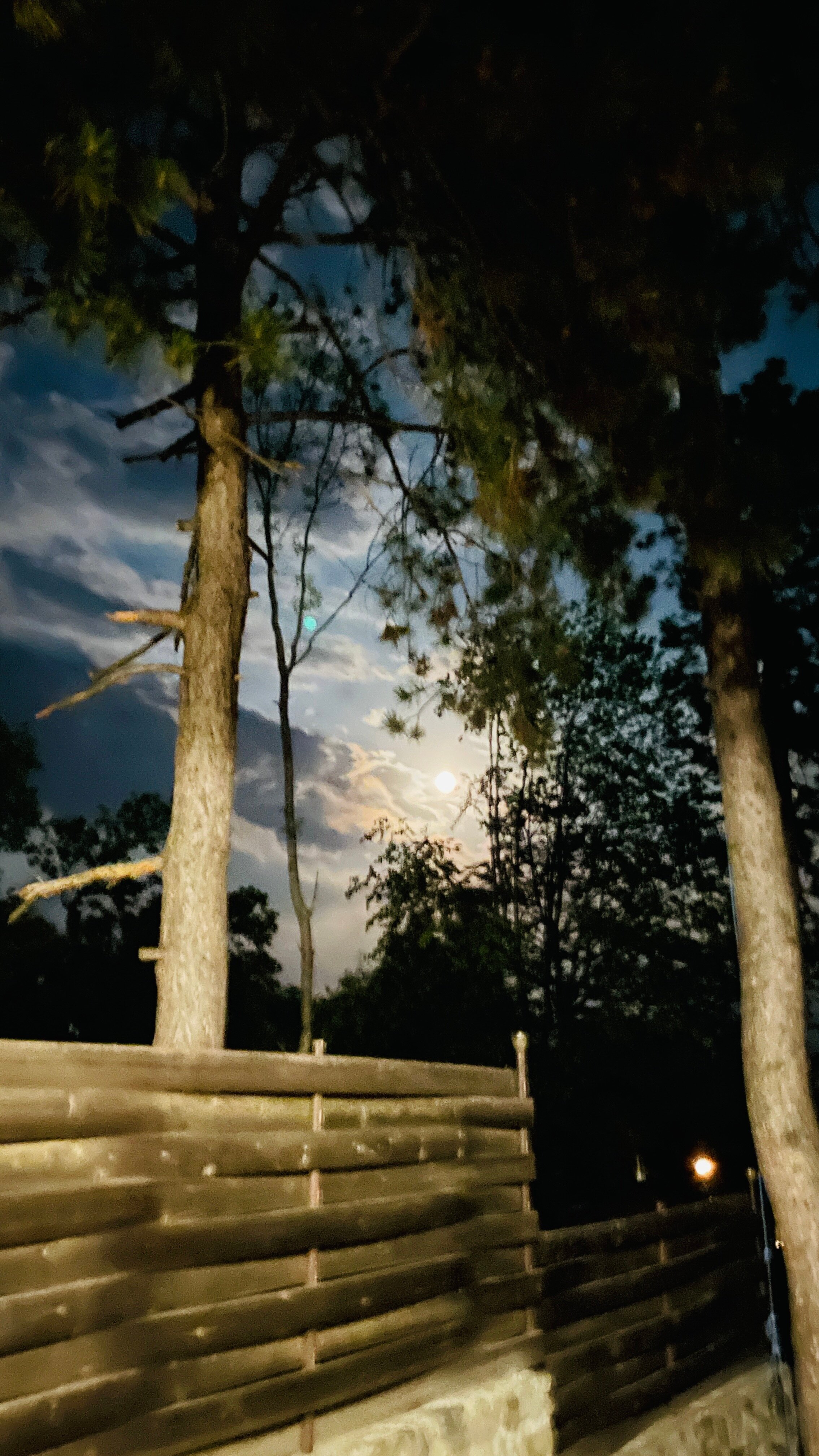 Фото Лесная Сказка