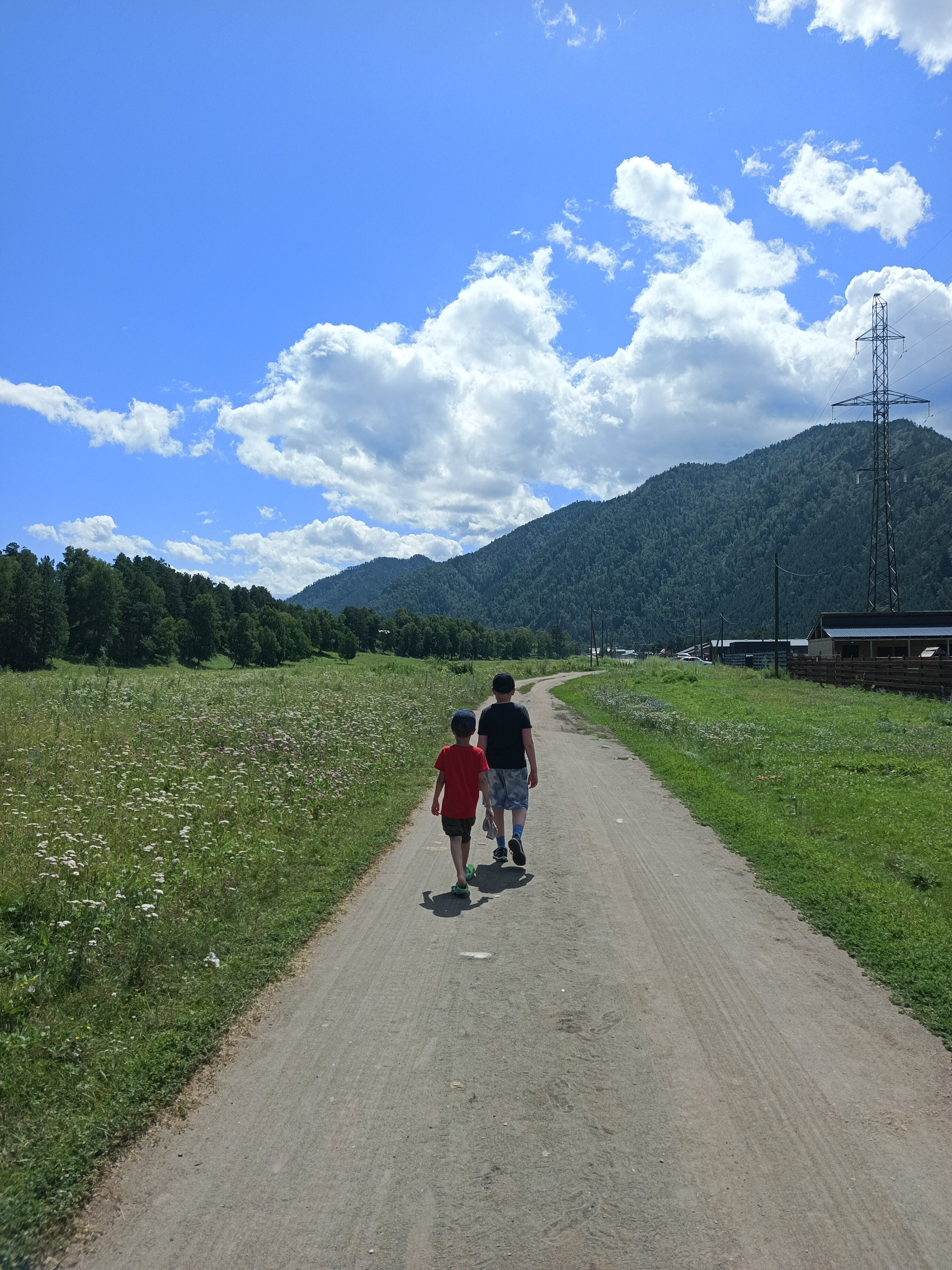 Фото Зеленые холмы