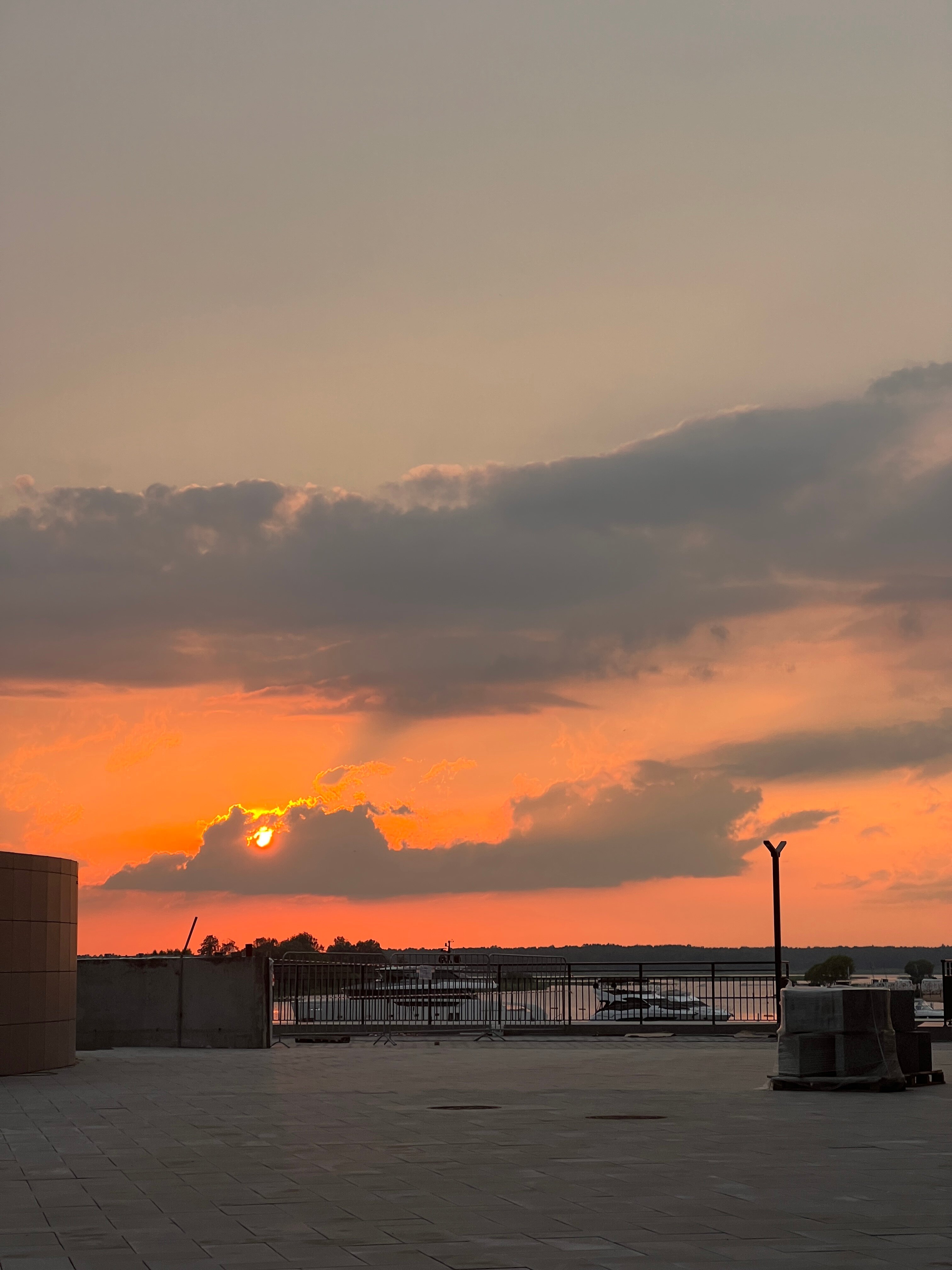 Фото Рябина от Васта