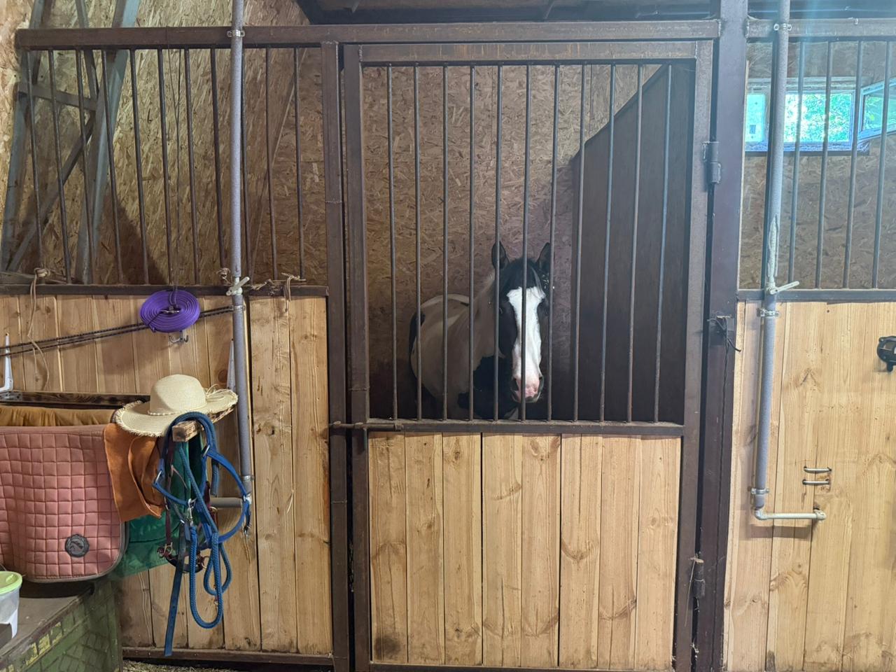 Фото Экстримлэнд