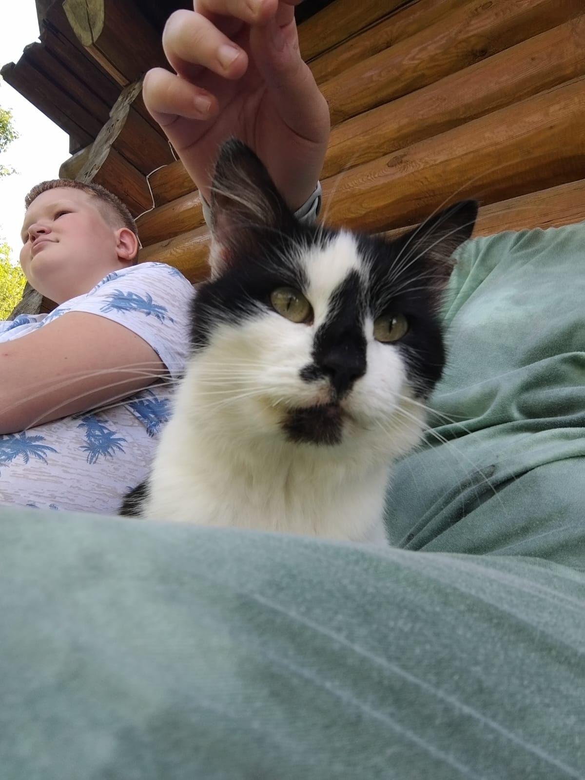 Фото Три Богатыря