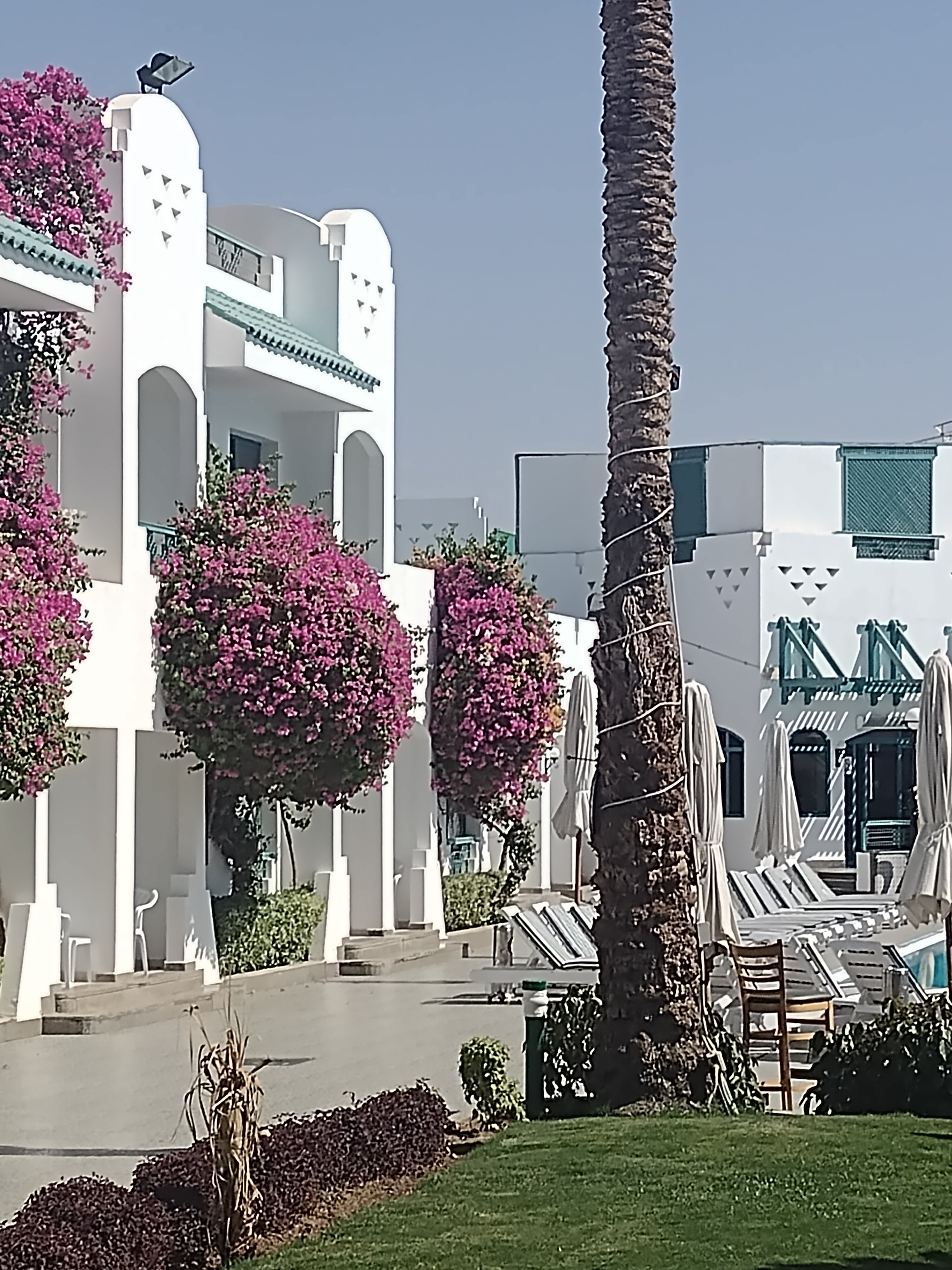 Фото Falcon Hills Hotel