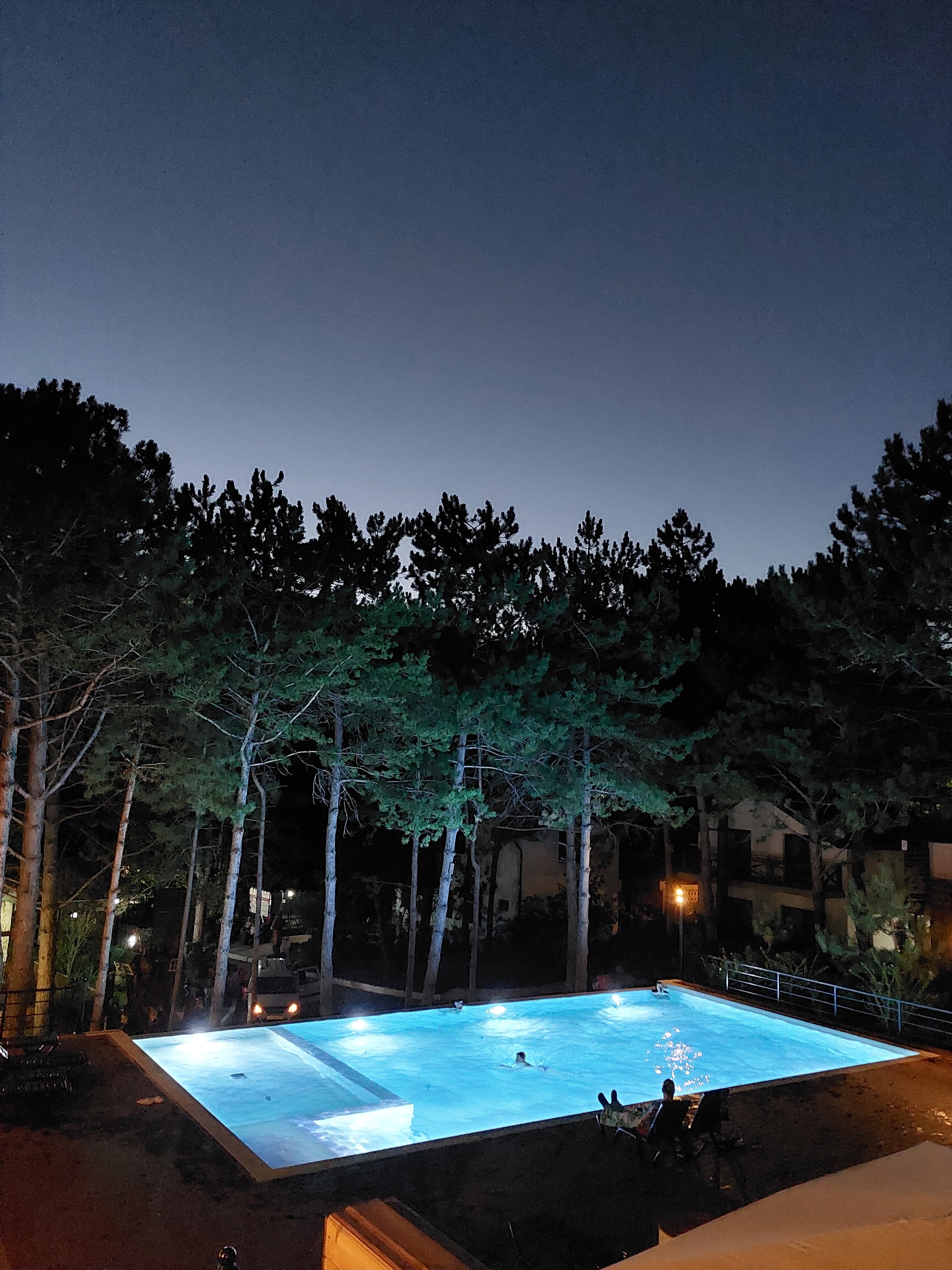 Фото Лесная сказка