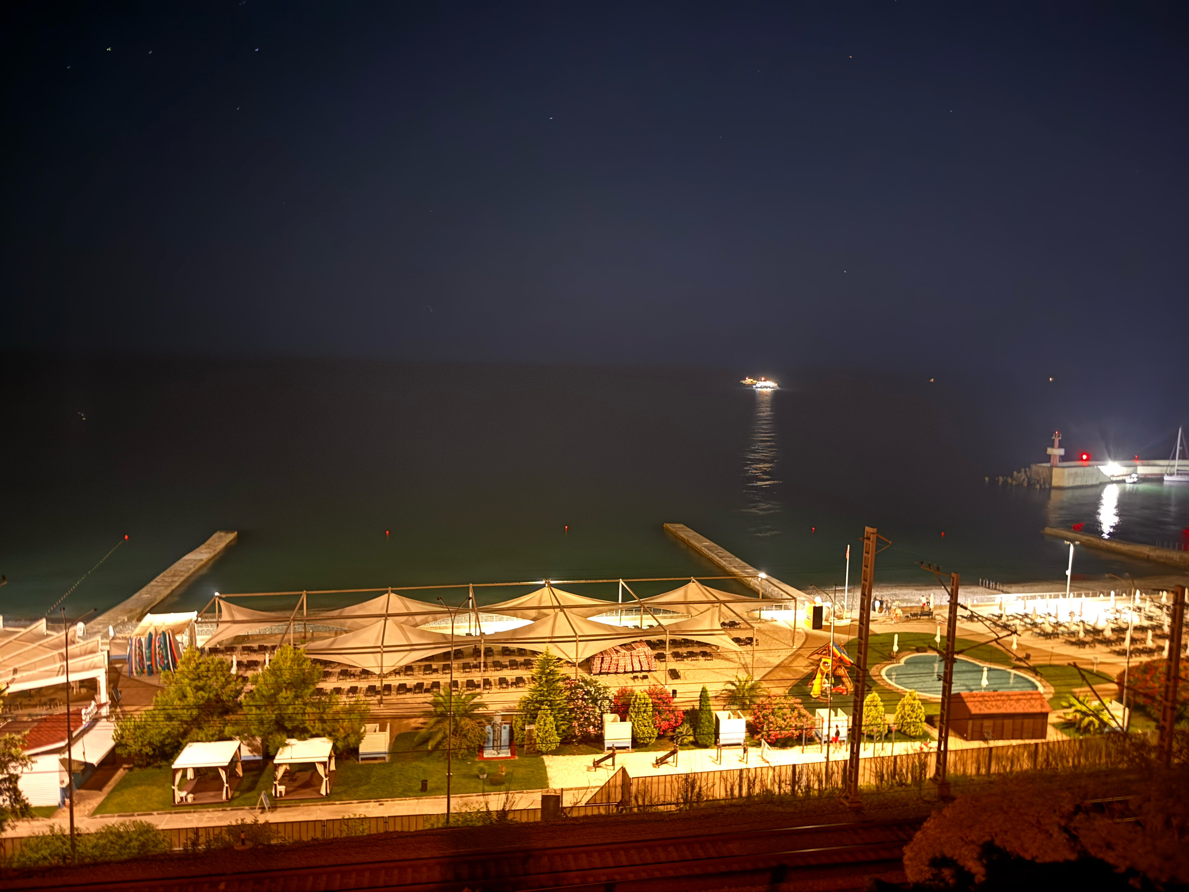 Фото Пеликан