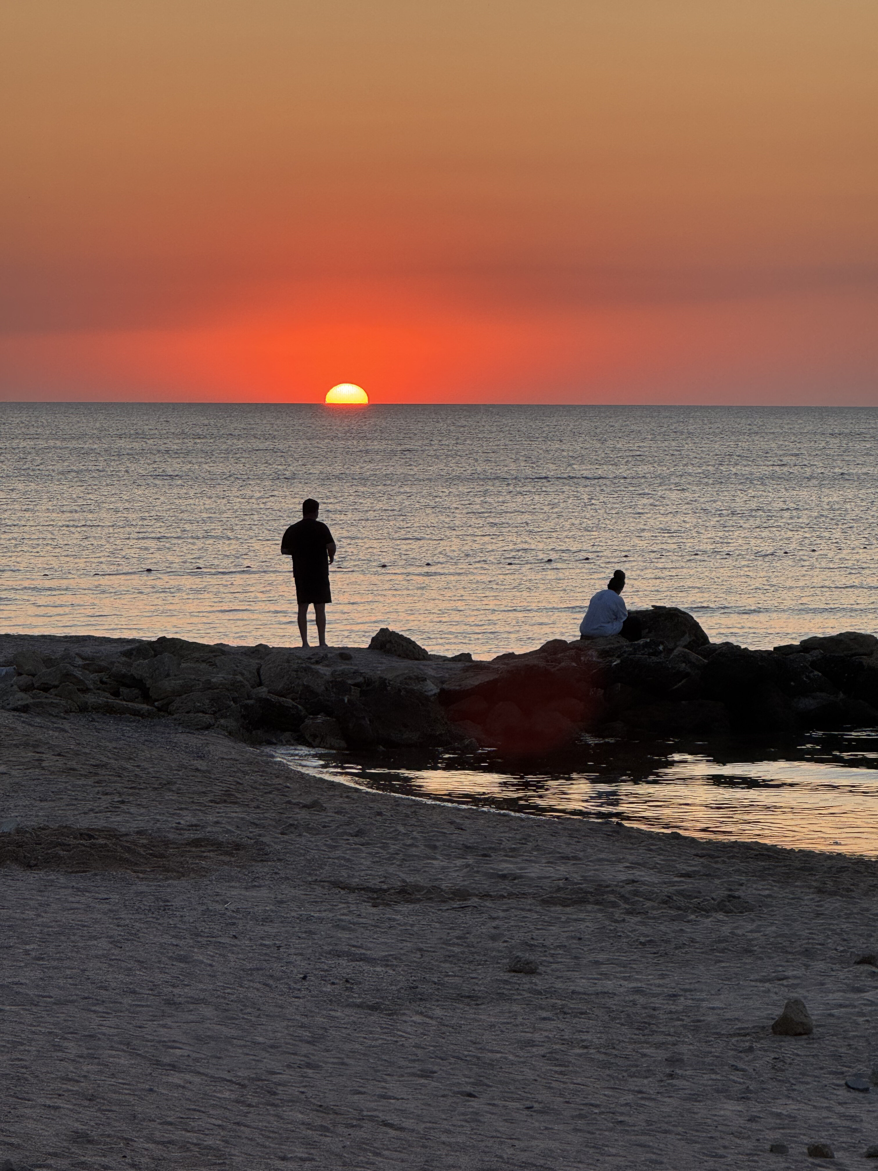 Фото Золотая Рыбка