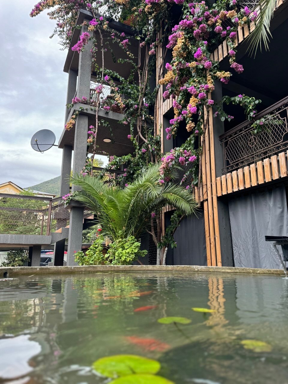 Фото Аимара