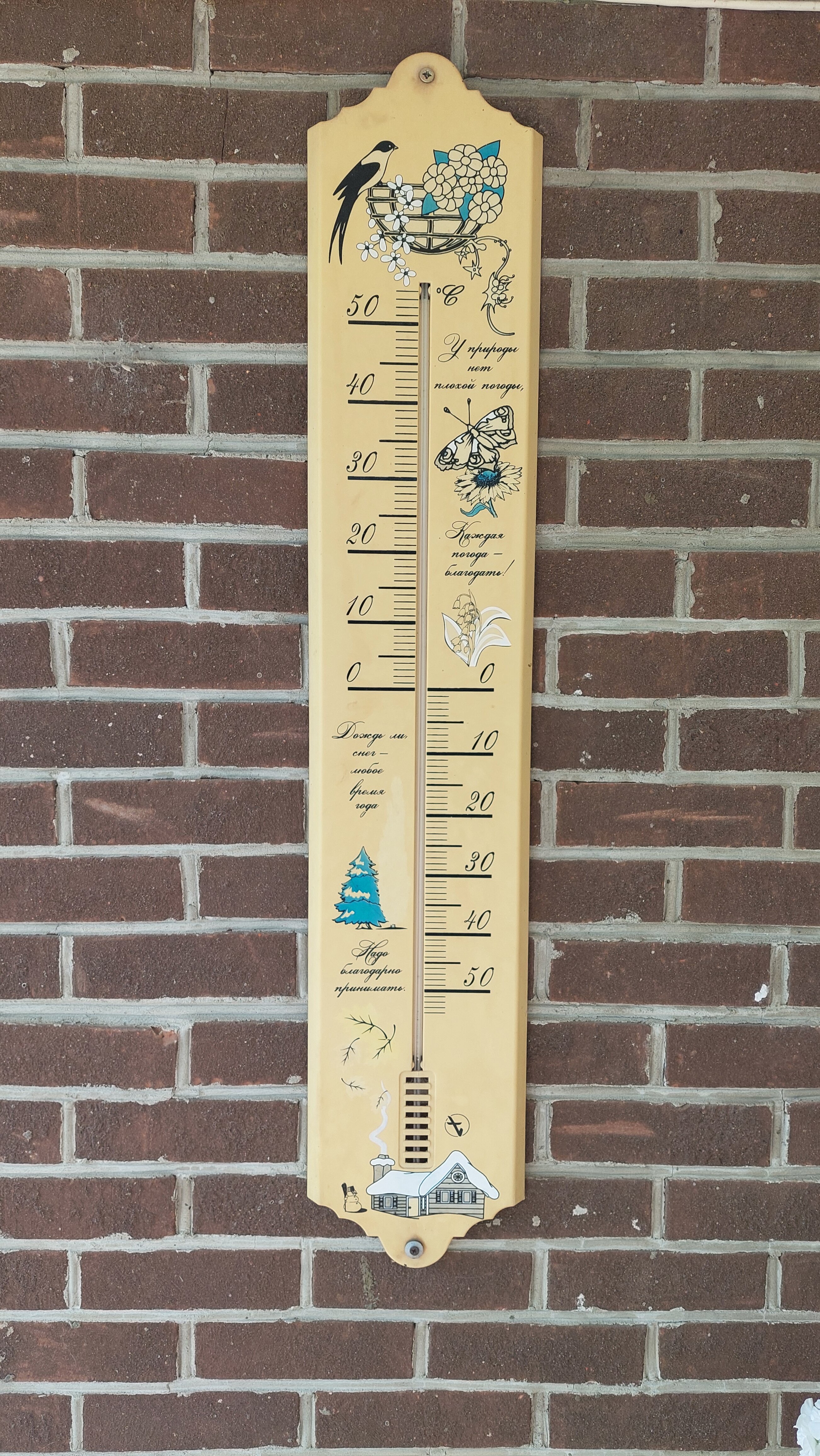 Фото Орхидея