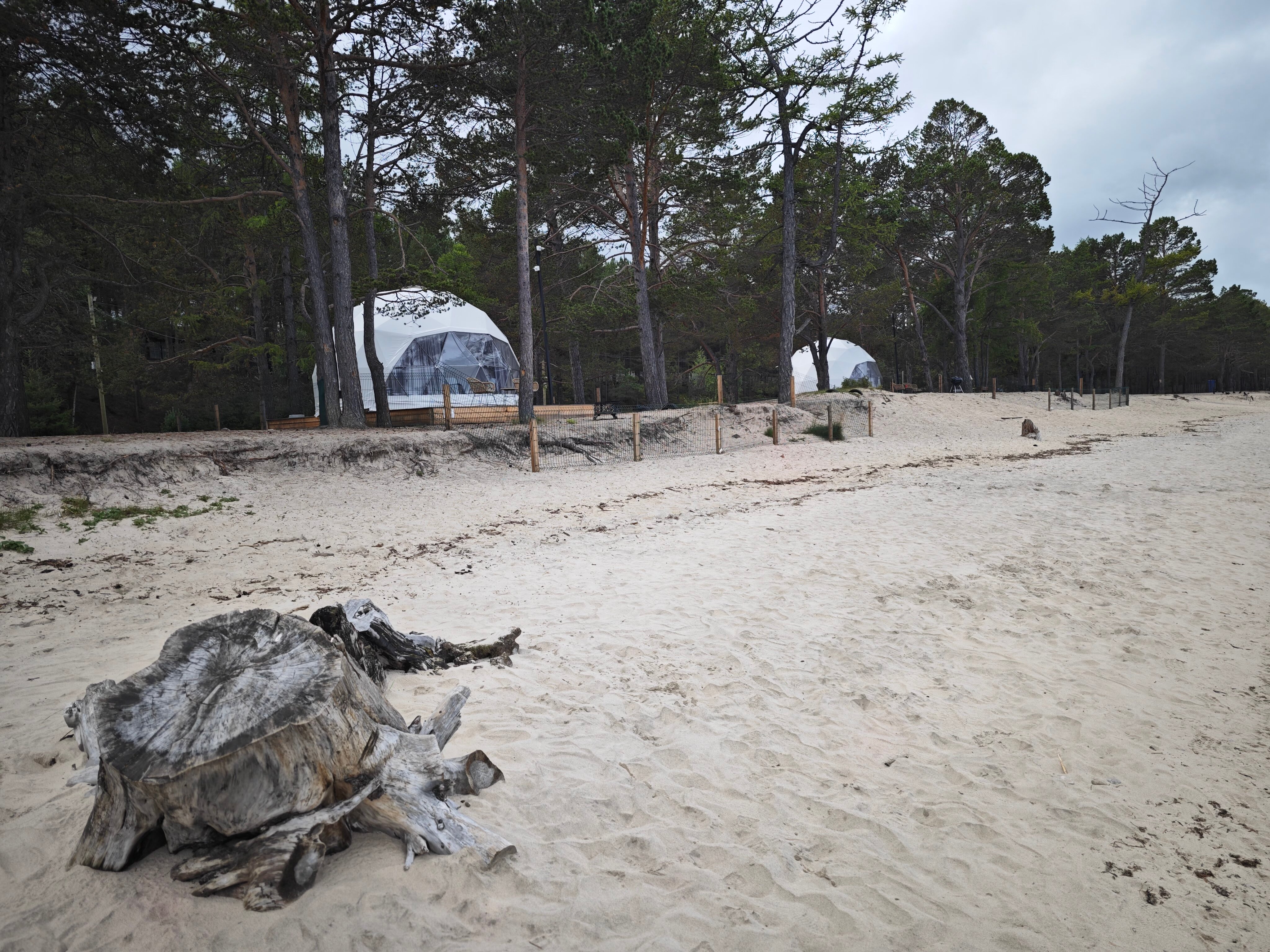 Фото Тэнсуури