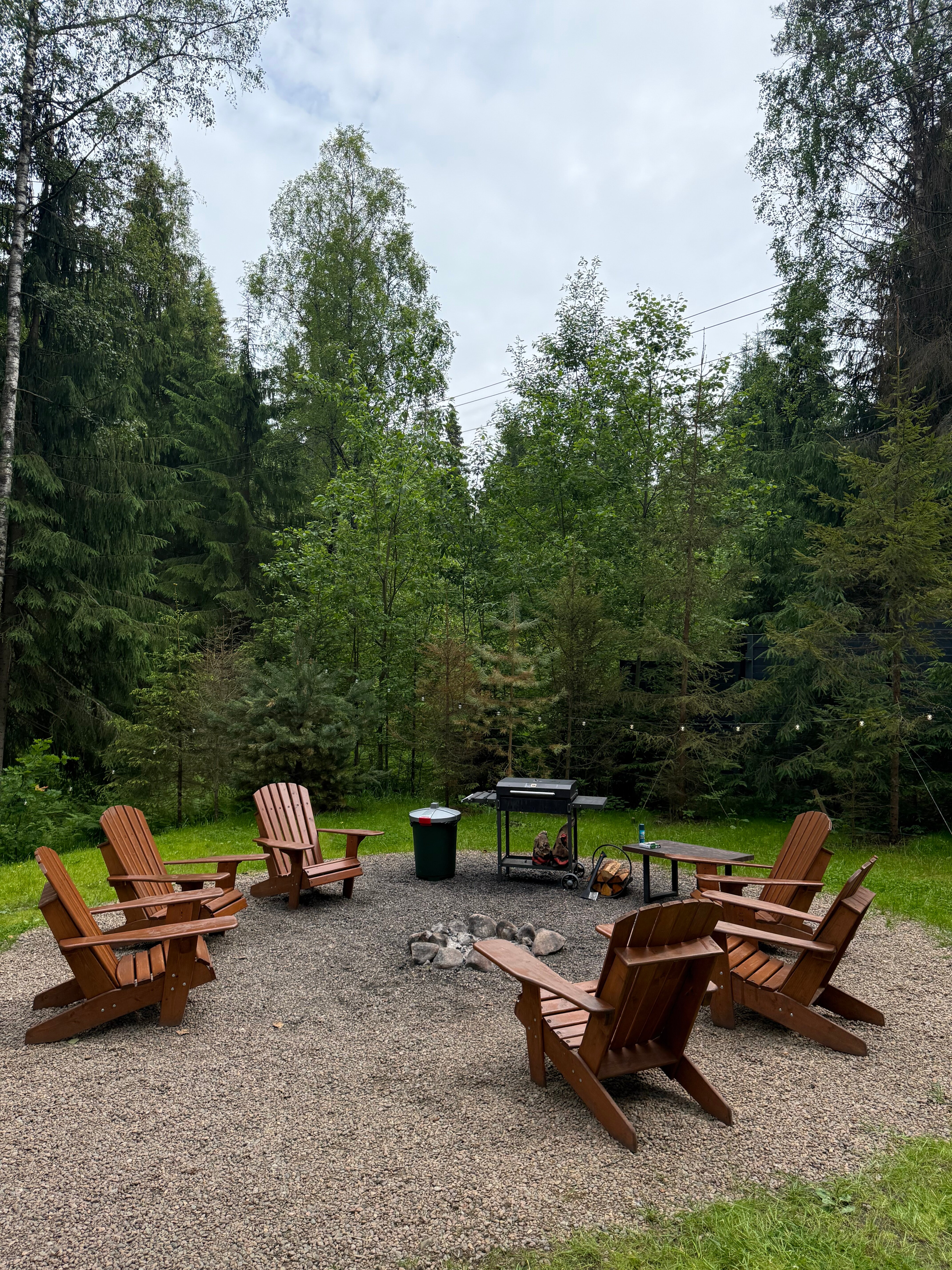 Фото Fox in forest