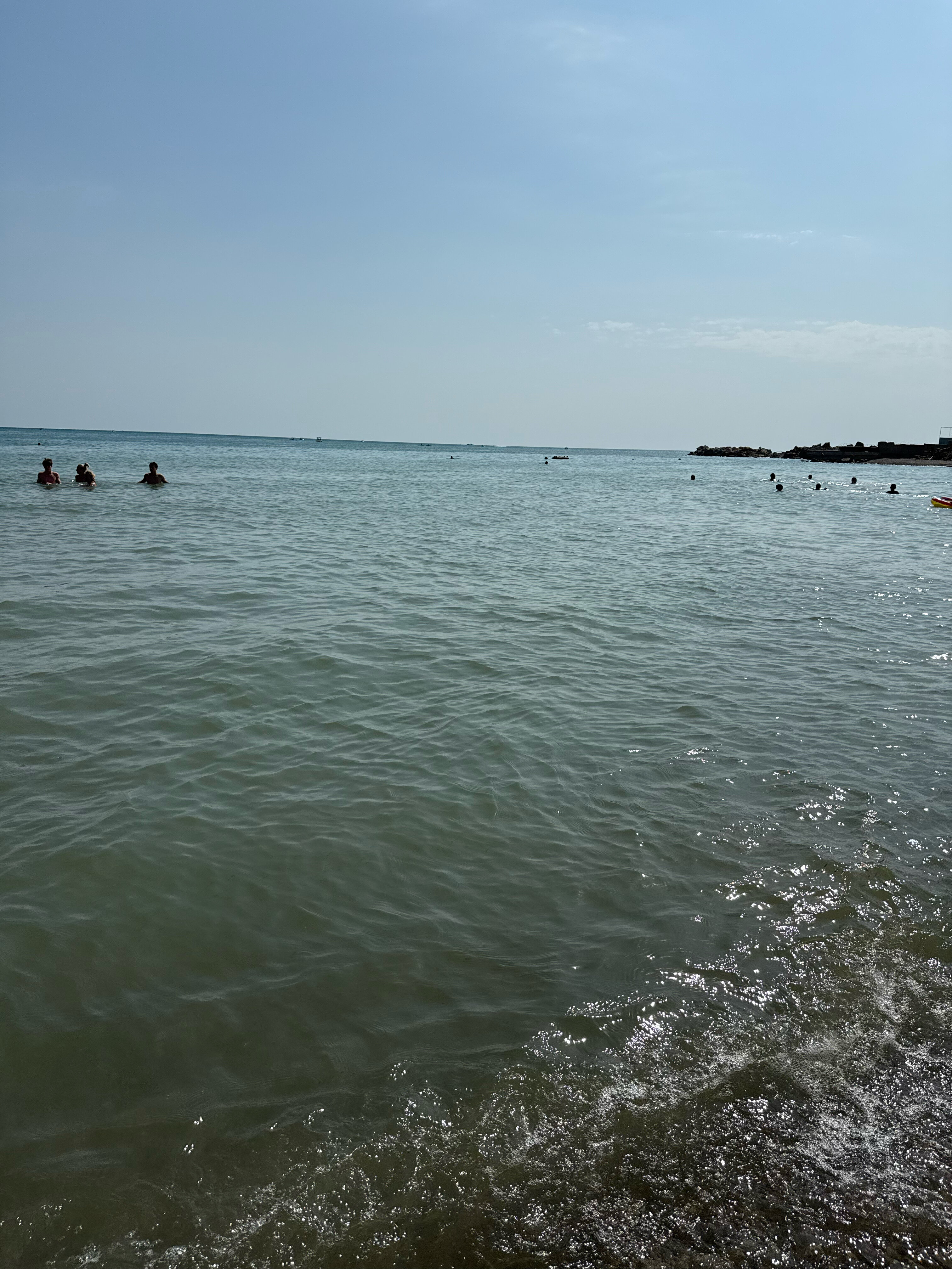 Фото Золотой абрикос