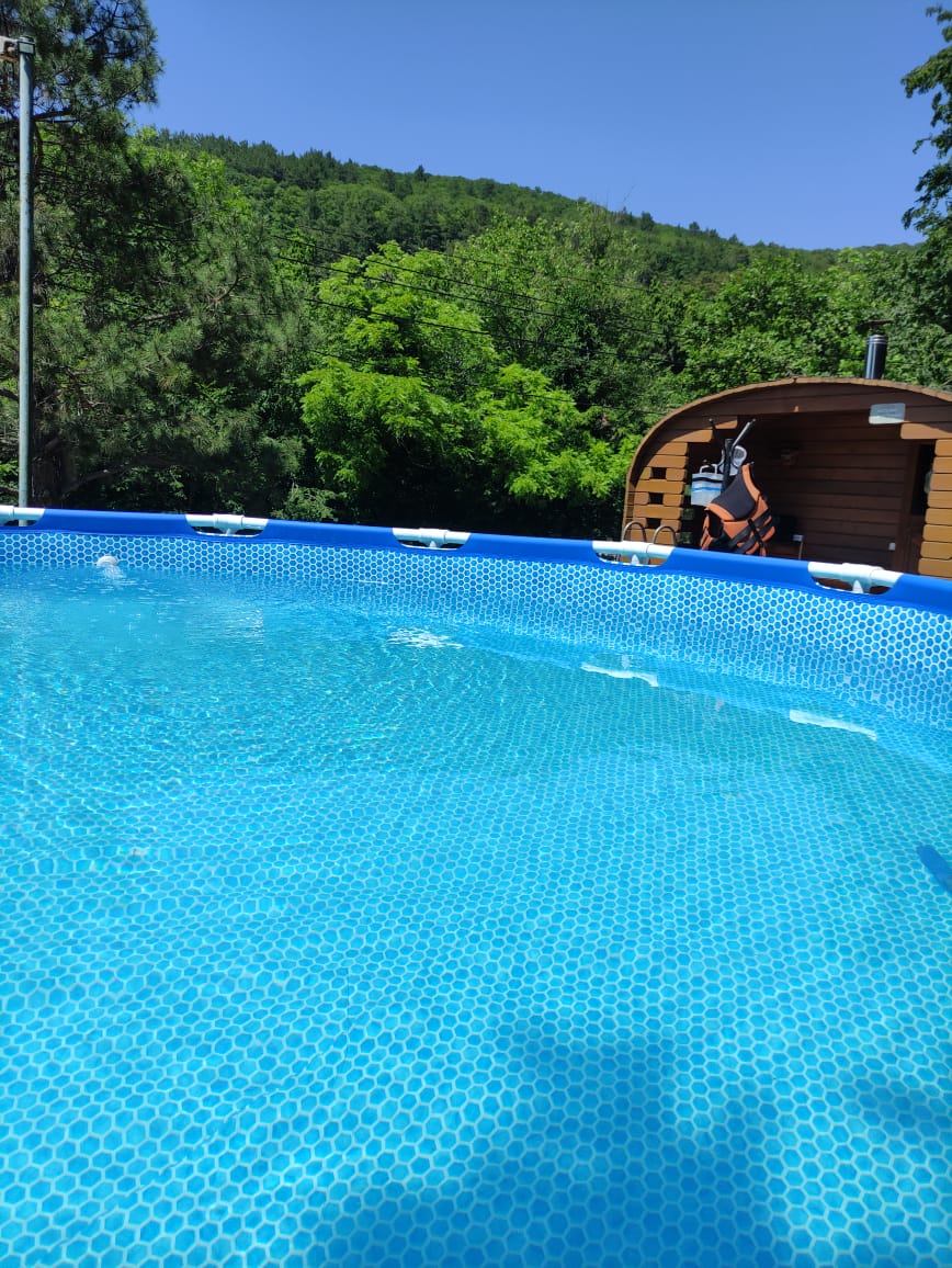 Фото Аммонит