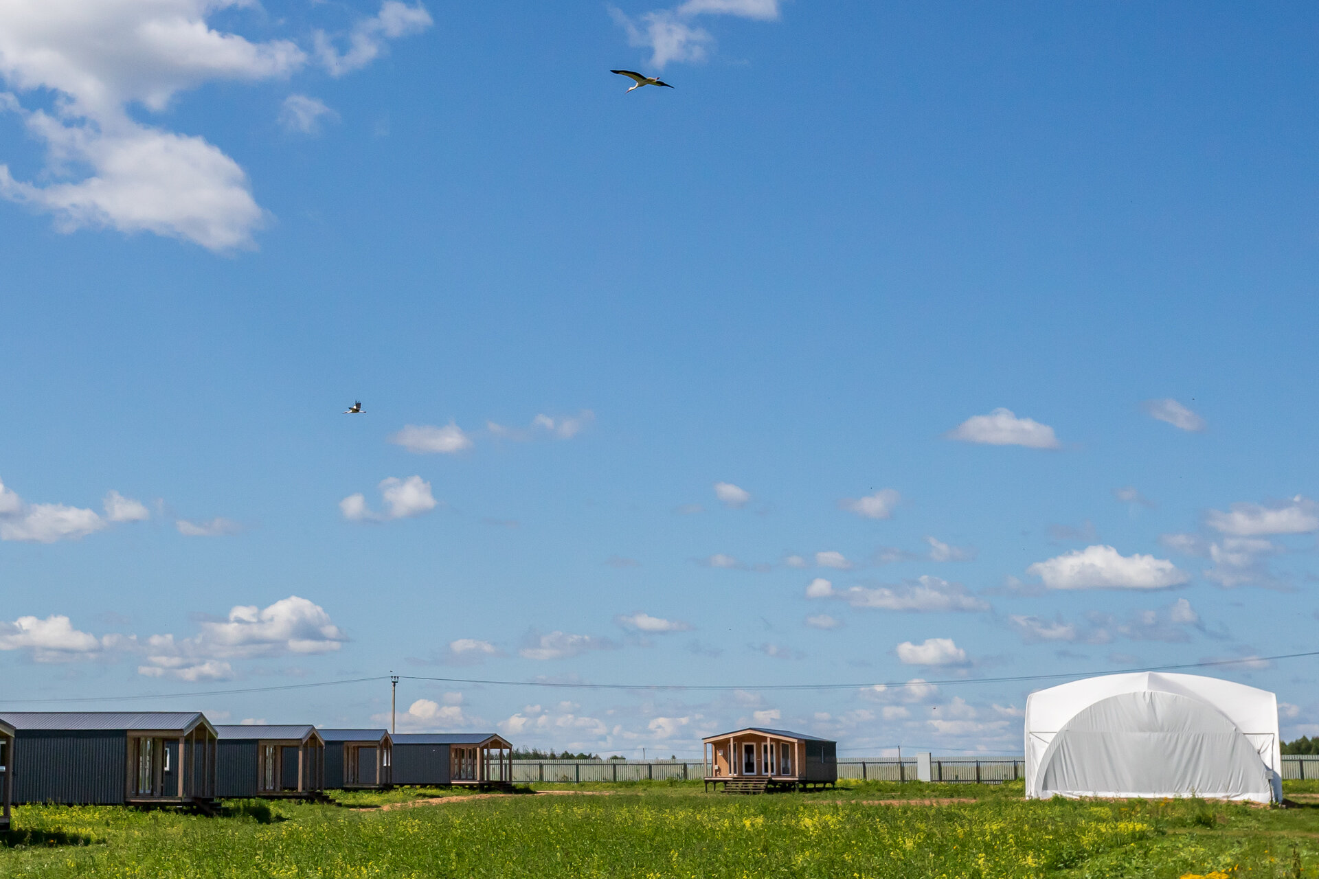 Фото Парк Самуйлово