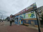 Элика (ulitsa Kosmonavtov, 5А), grocery