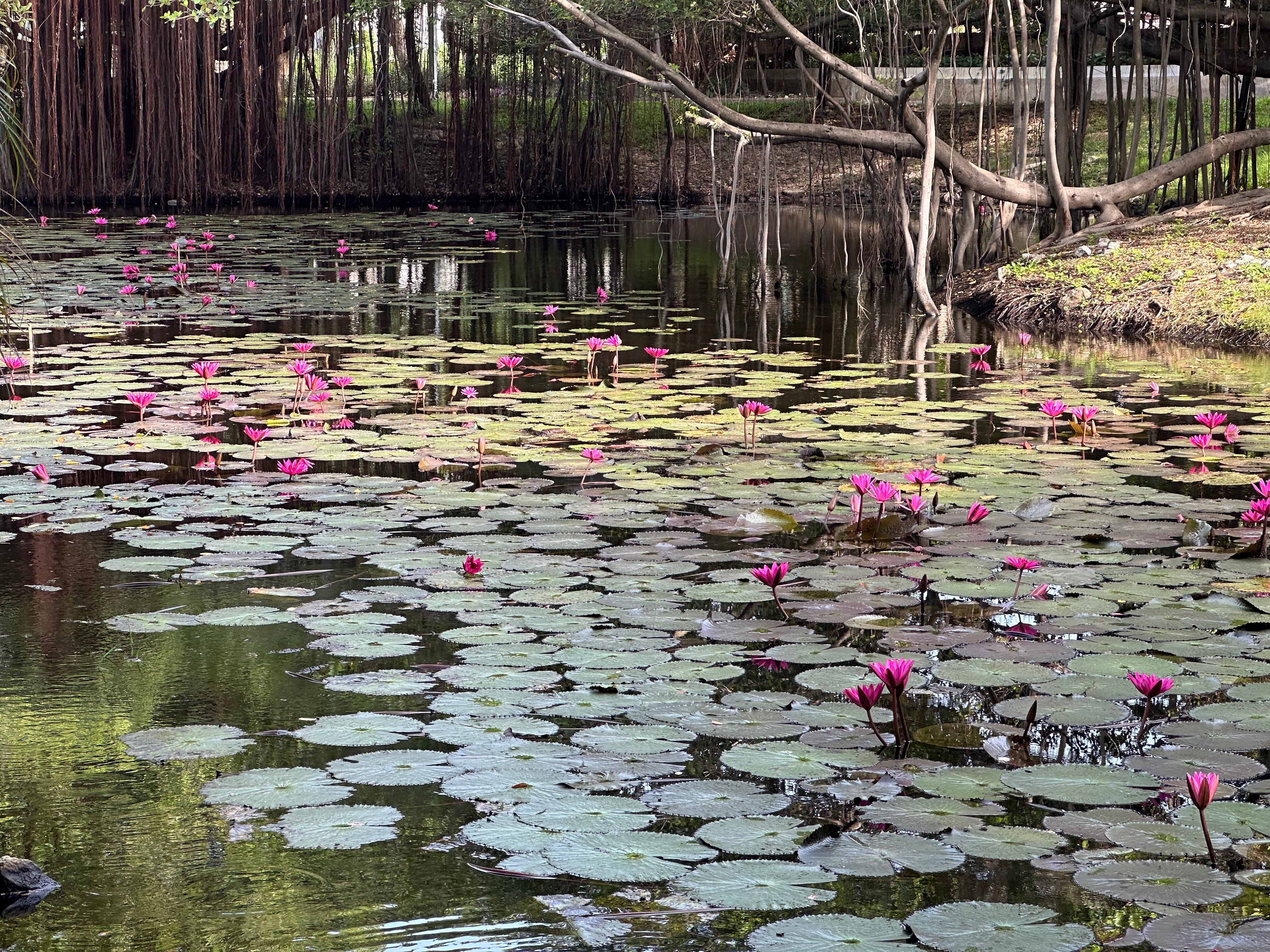 Фото The Leela Resort & SPA Pattaya