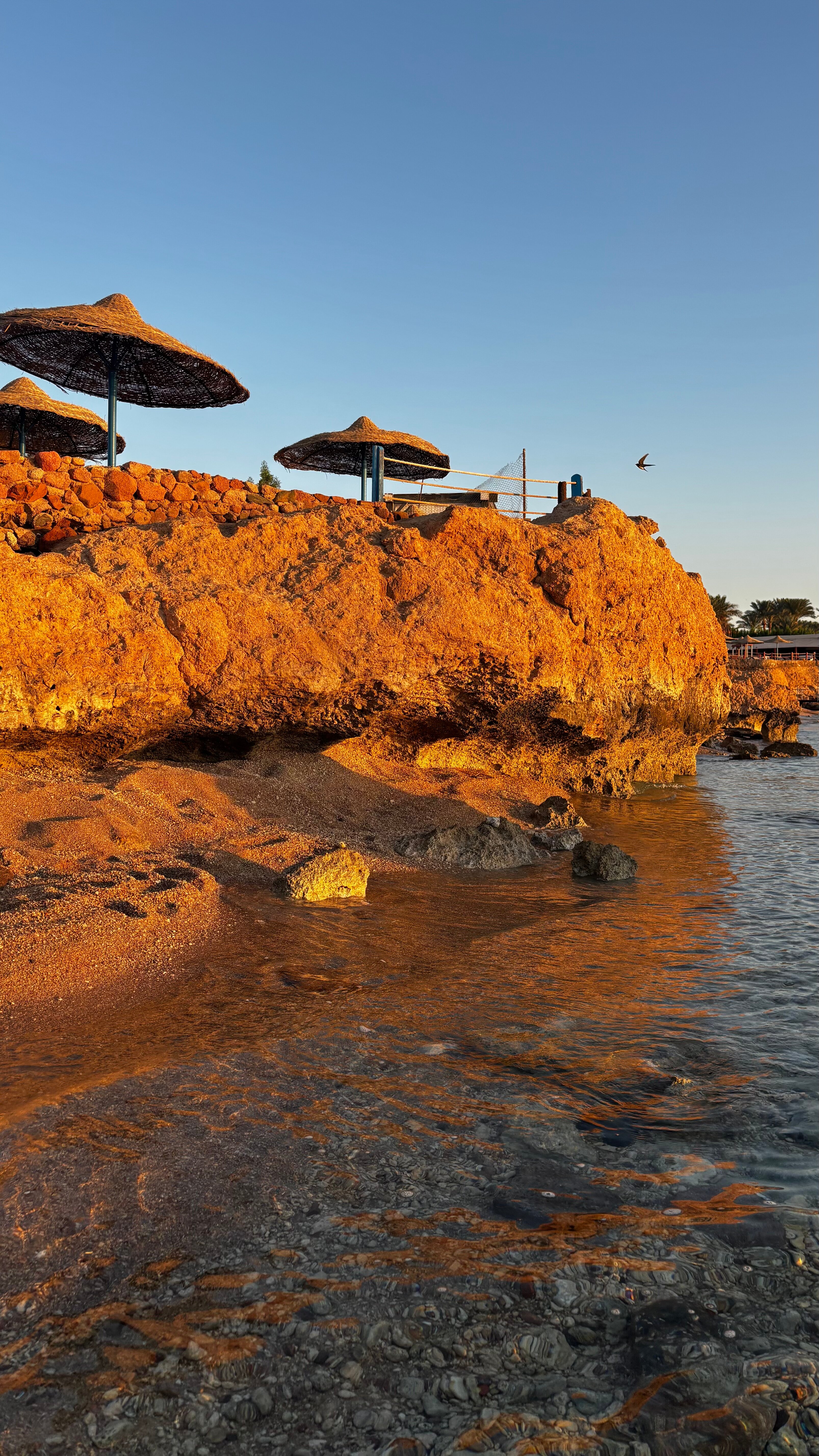 Фото Renaissance Sharm El Sheikh Golden View Beach Resort